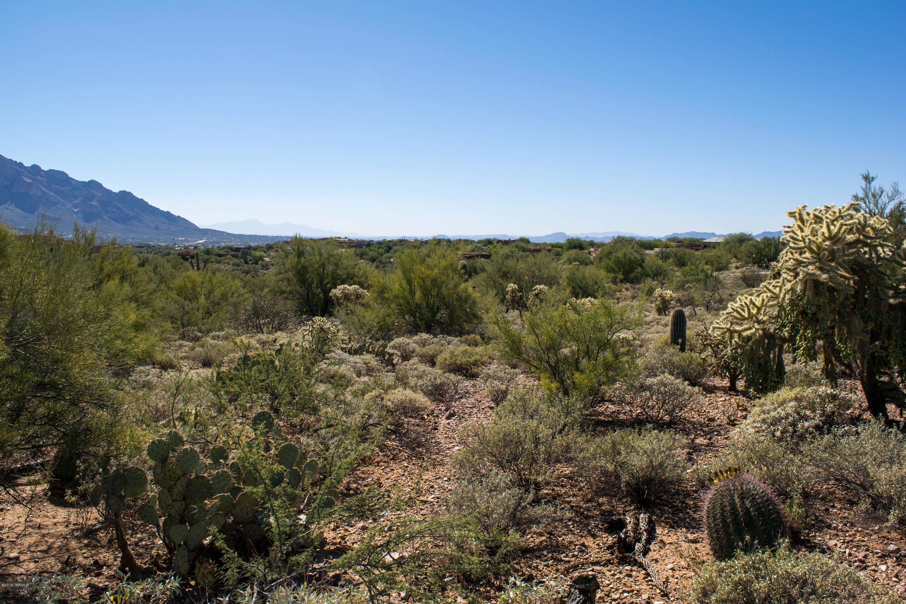 Rancho Vistoso Ngh 7 PCL A Vistoso Point - Land