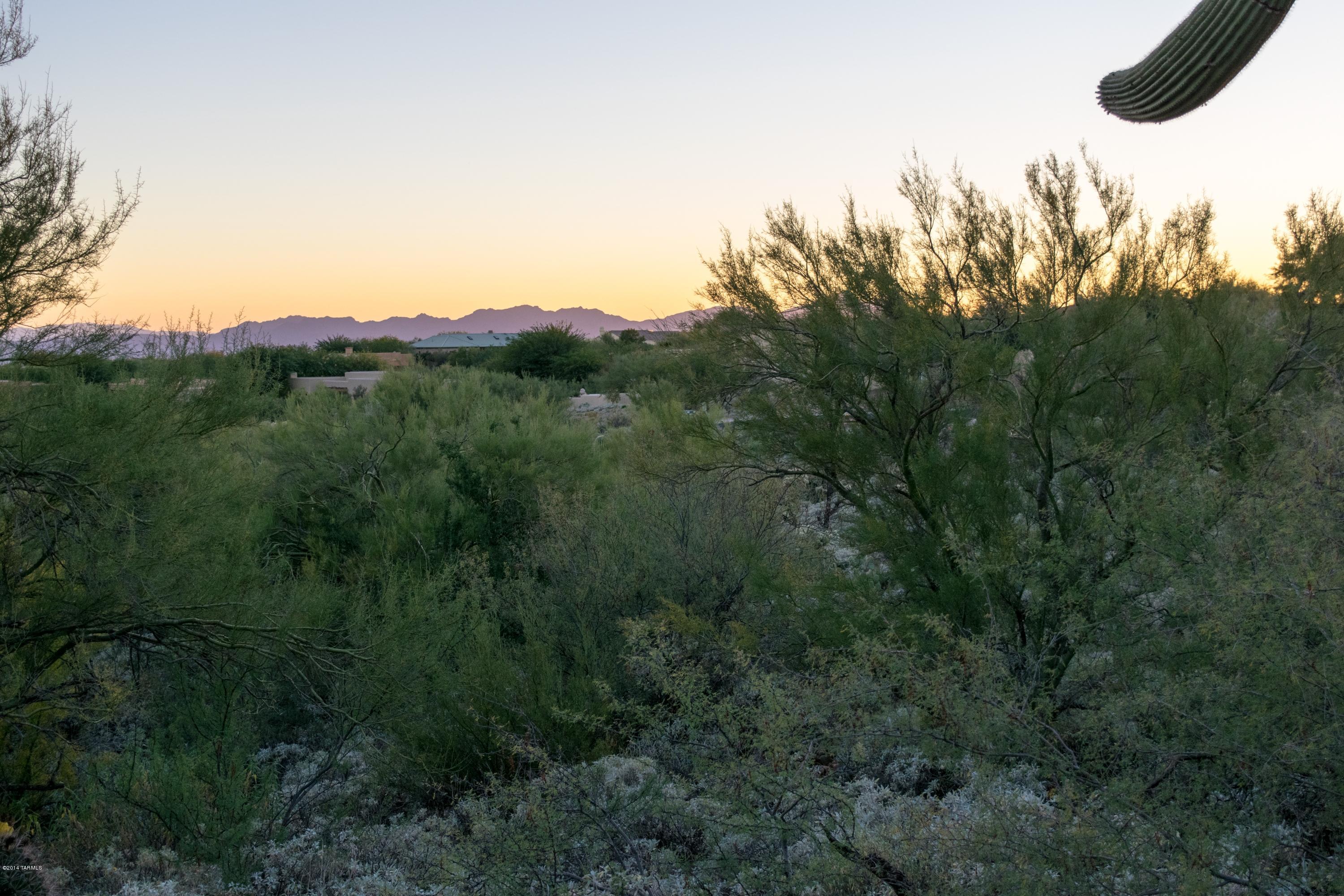 Rancho Vistoso Ngh 7 PCL A Vistoso Point - Land