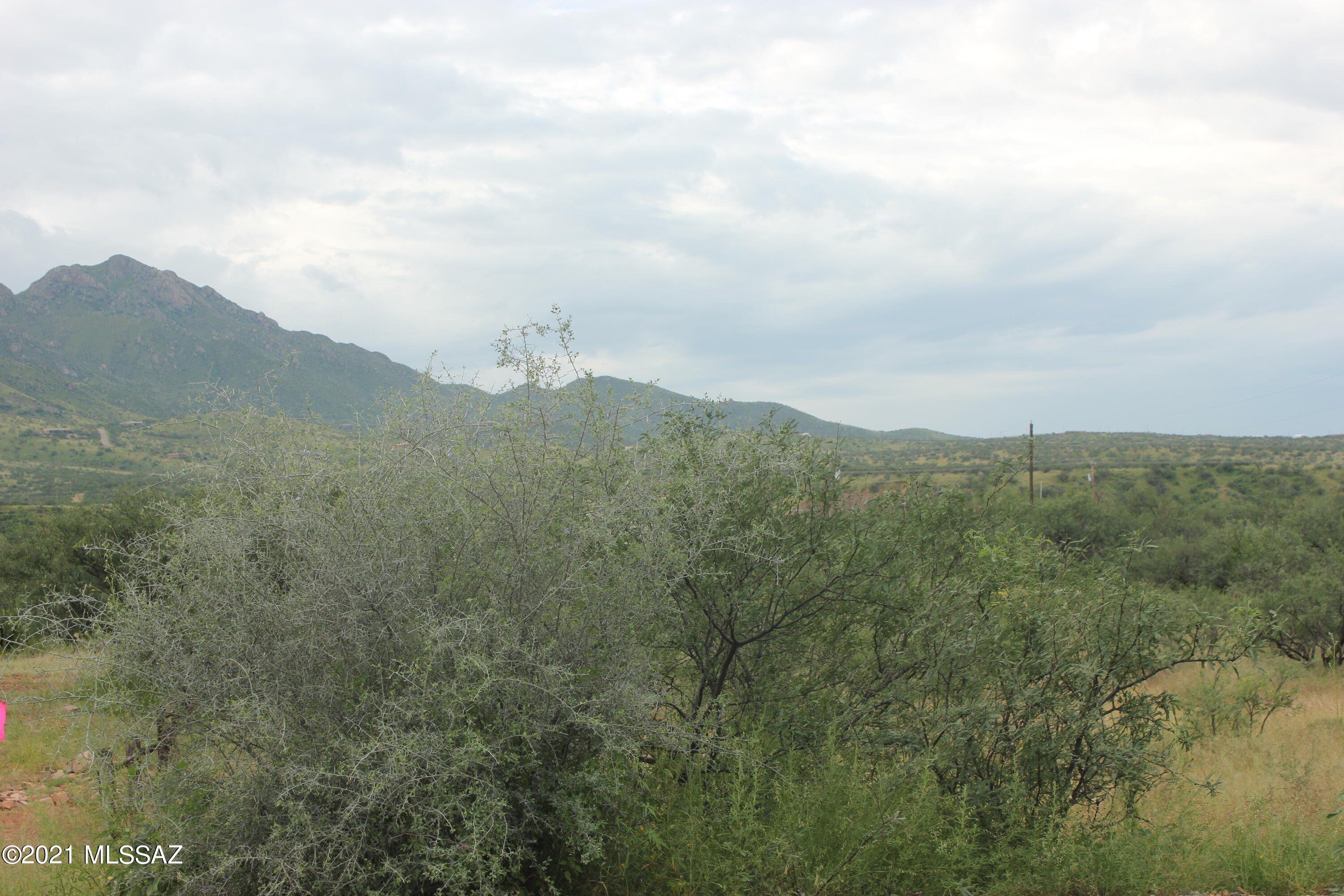 Rio Rico Villas 12 - Land