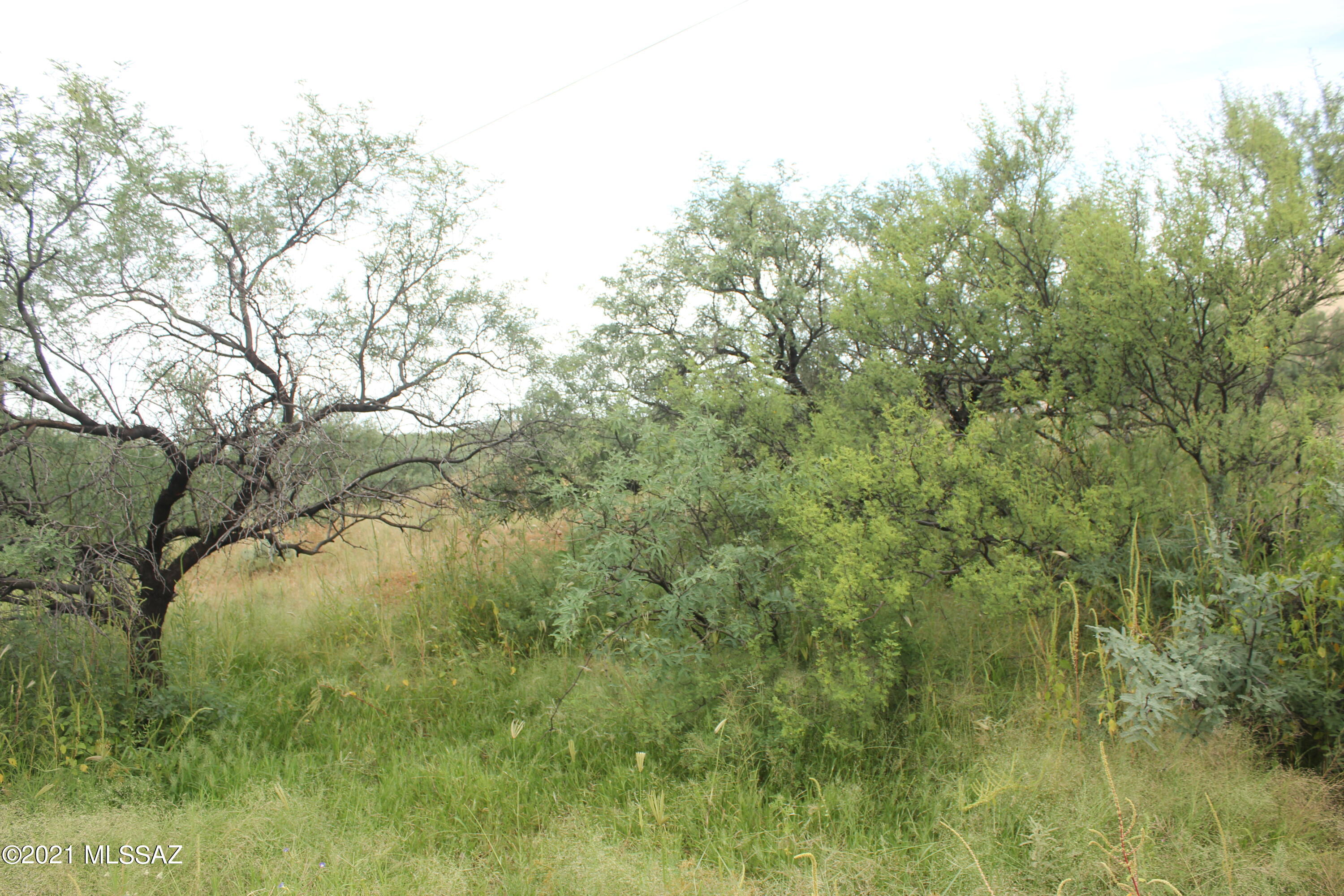 Rio Rico Villas 12 - Land