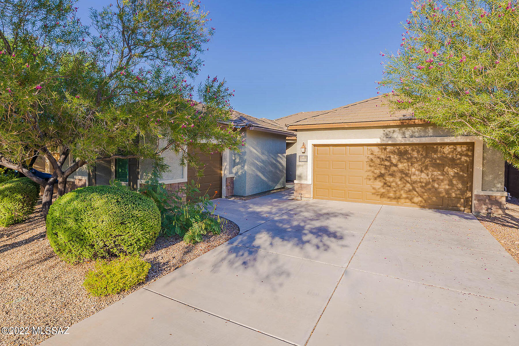 Sierra Morado Unit 4 - Residential