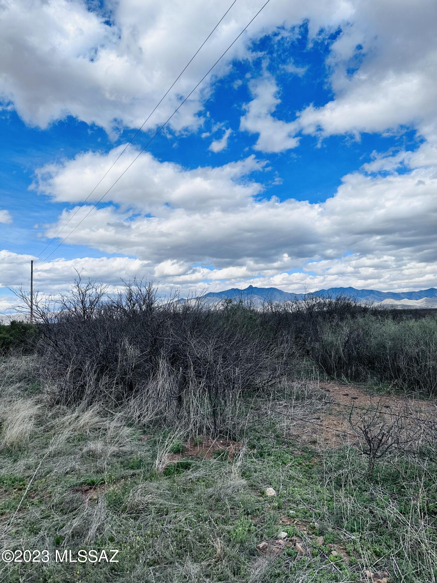 Chiracahua Trail Ranches - Land