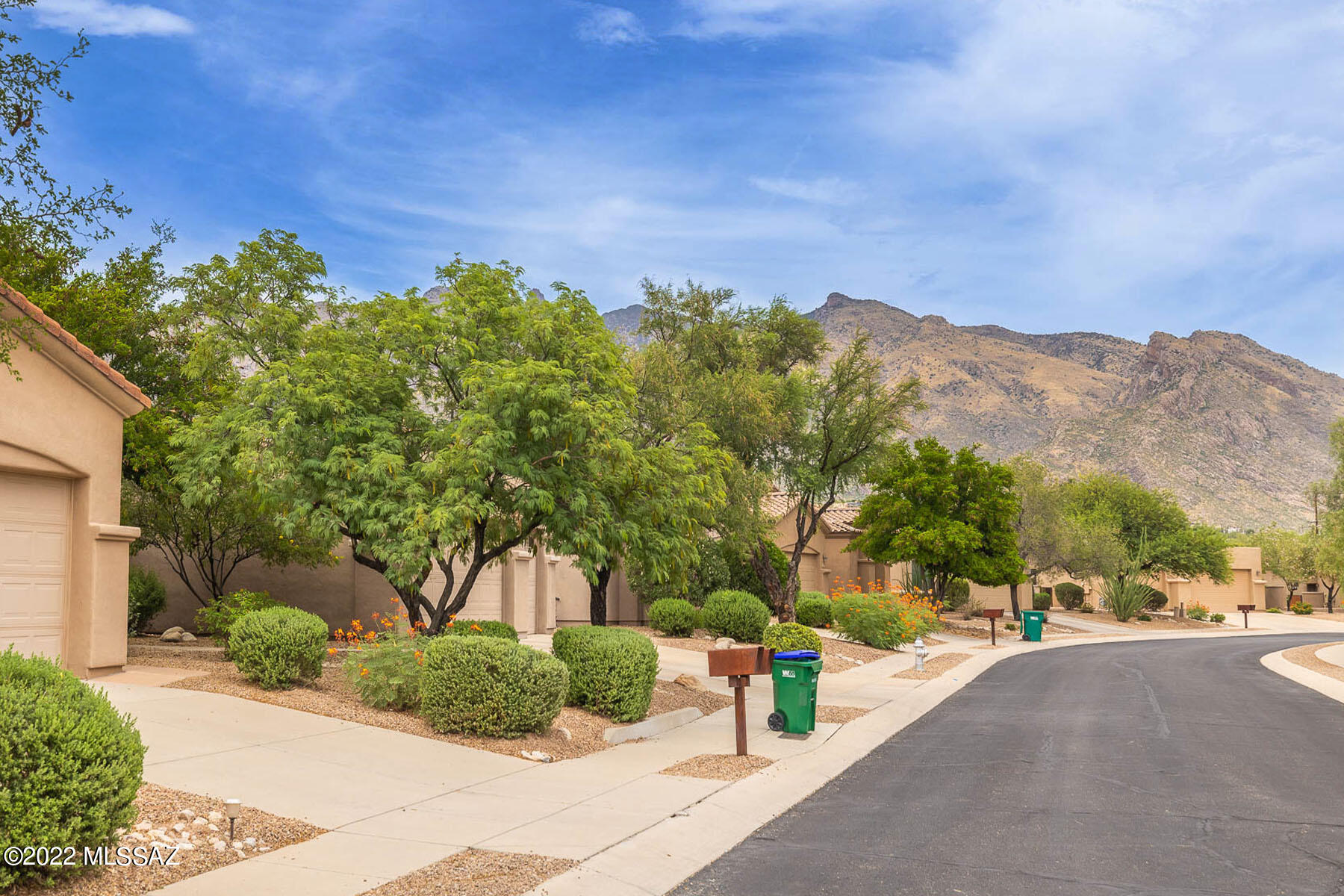 Village 1 At the Villages of La Paloma - Residential