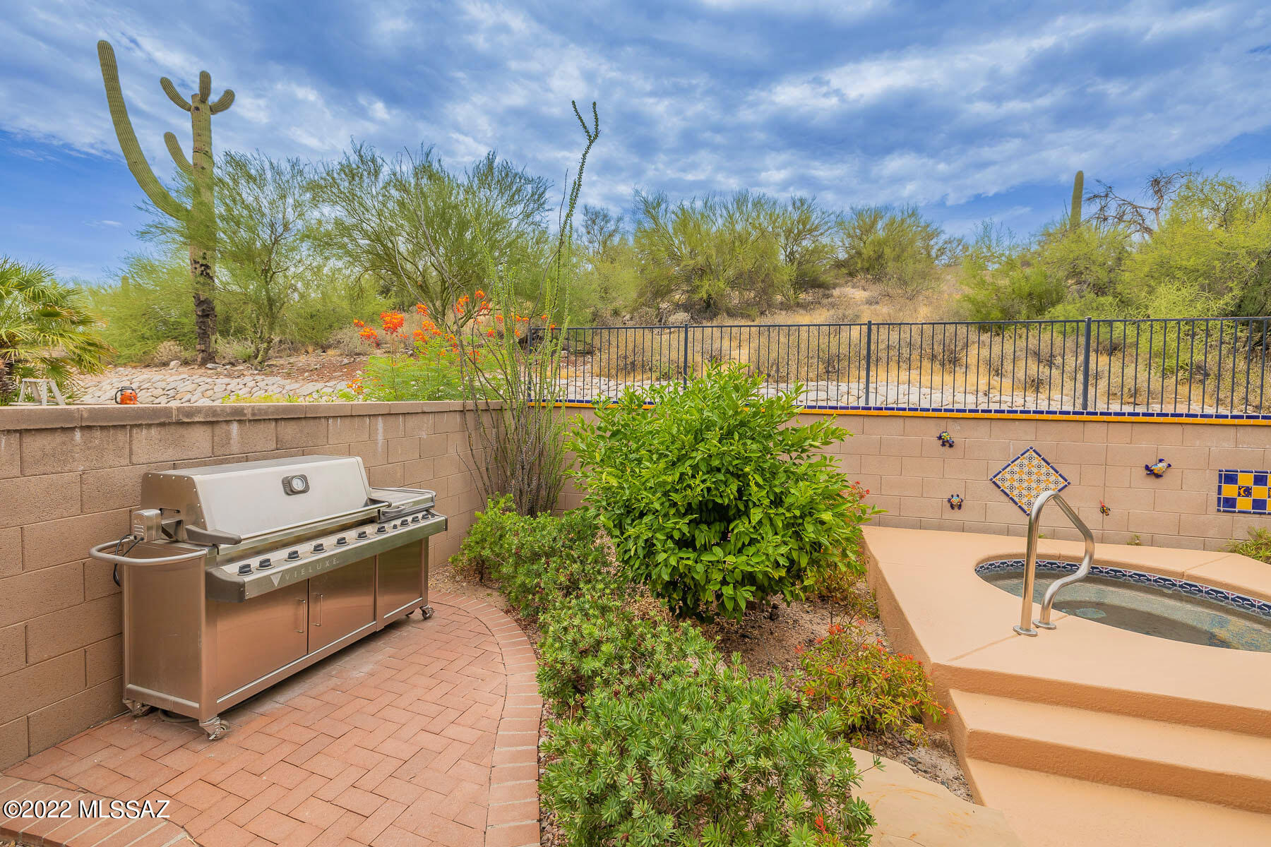 Village 1 At the Villages of La Paloma - Residential