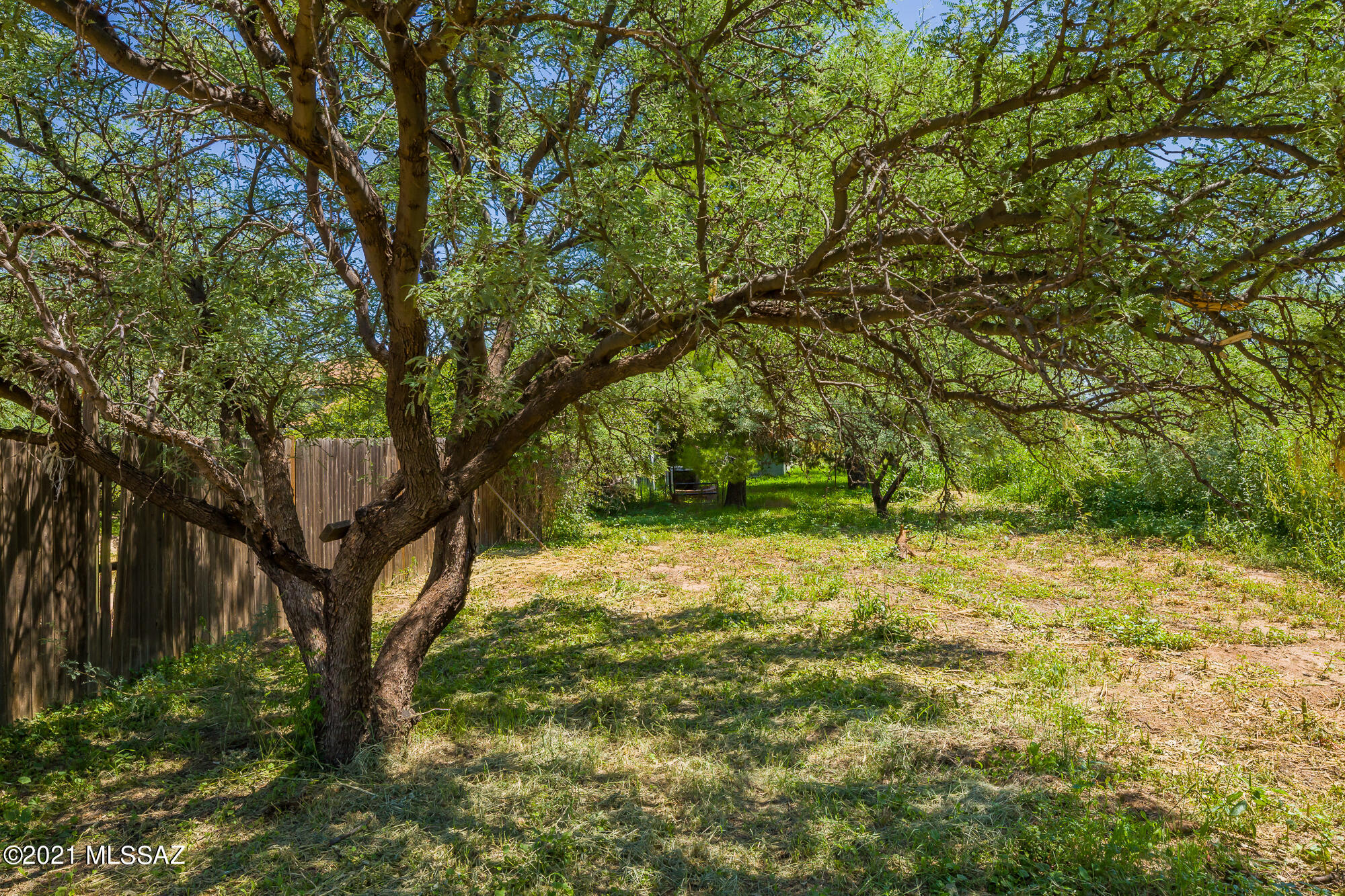 Mescal Lakes - Residential