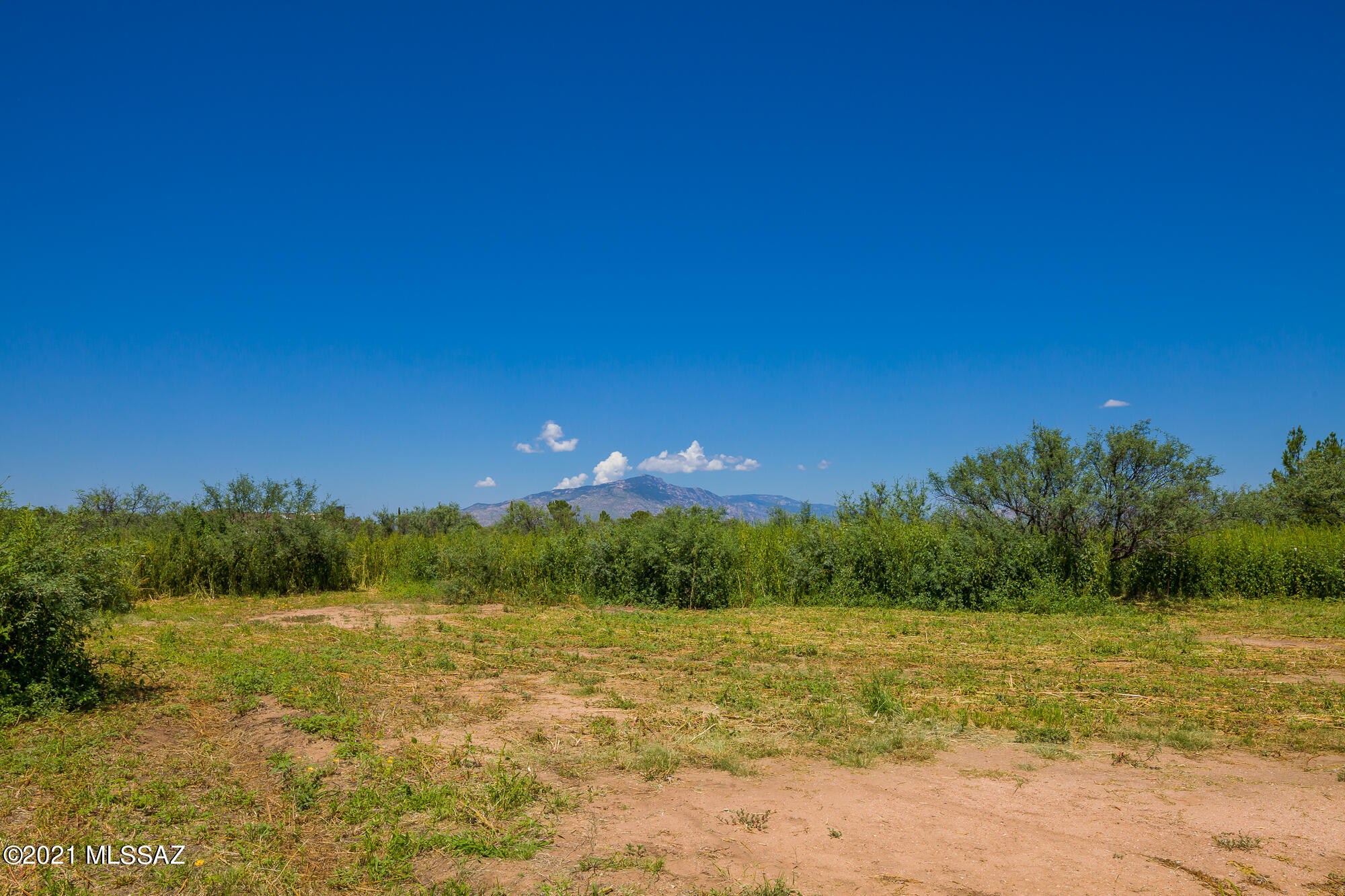 Mescal Lakes - Residential