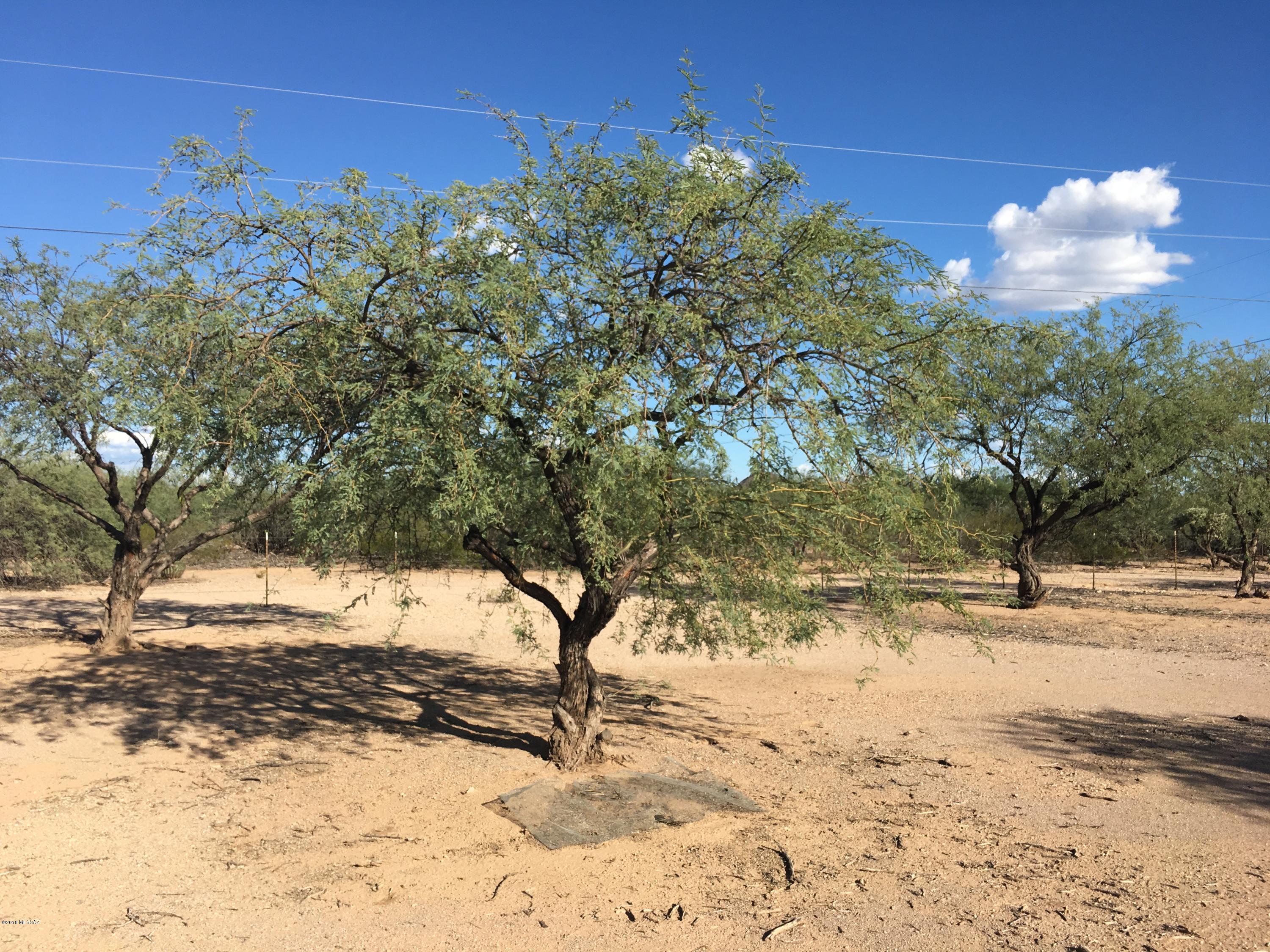 Flat, ready to build lot with electric and well on the lot. Build your dream home to enjoy gorgeous desert sunsets and be out of the hustle and bustle of the city. No HOA to bug you.
