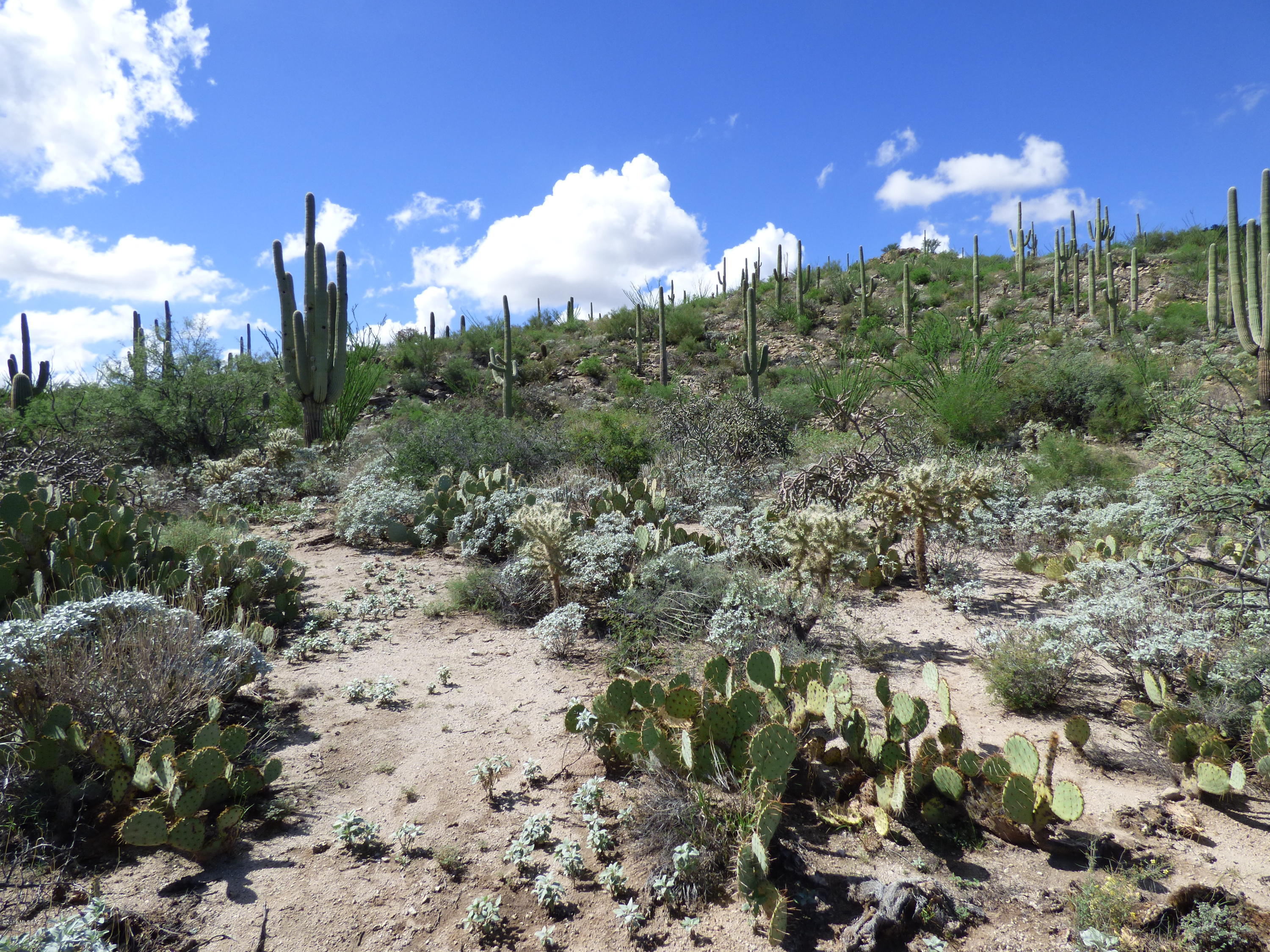 Unsubdivided - Land