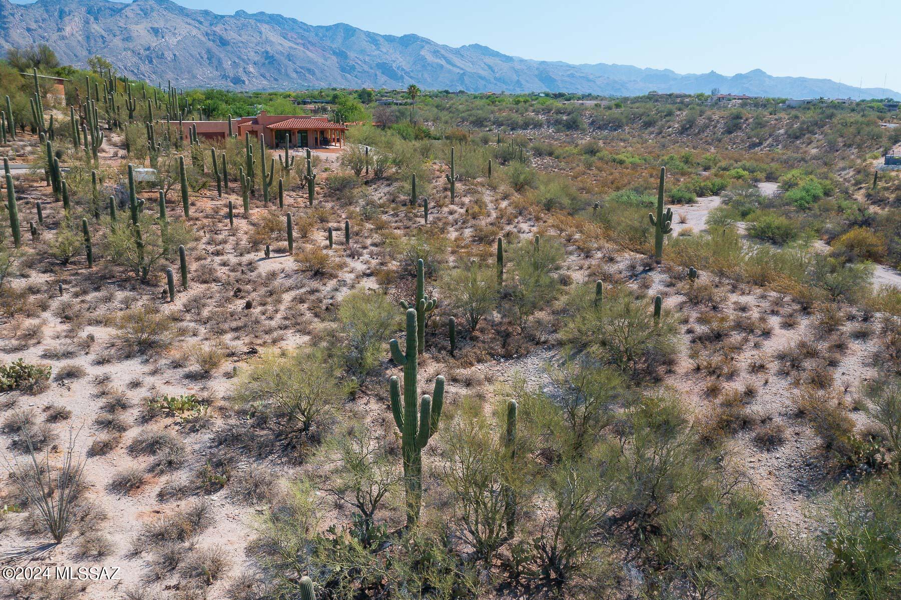 EXCELLENT PRICED LOT FOR THE 85718 ZIP CODE! This lot sits in the 85718-zip code, where 1 acre plus lots are so scarce! Even harder to find is a lot like this with so many perks. LIKE! Panoramic views of the Catalina & Rincon Mountains from your ridge side lot! The area on the West side of lot is a hilltop that is perfect for building. The downslope East portion of your lot has abundant wildlife to watch & explore. Lots of natural vegetation like Saguaro Cactus & more. Build the back of the house facing East or Northeast & enjoy unobstructed mountain views from inside & out. MORE! Perk test for septic, surveys, water meter & more on file already. From the Cul de Sac, park there & walk up your shared private driveway to the top where there is a rock wall with stairs leading you to lot