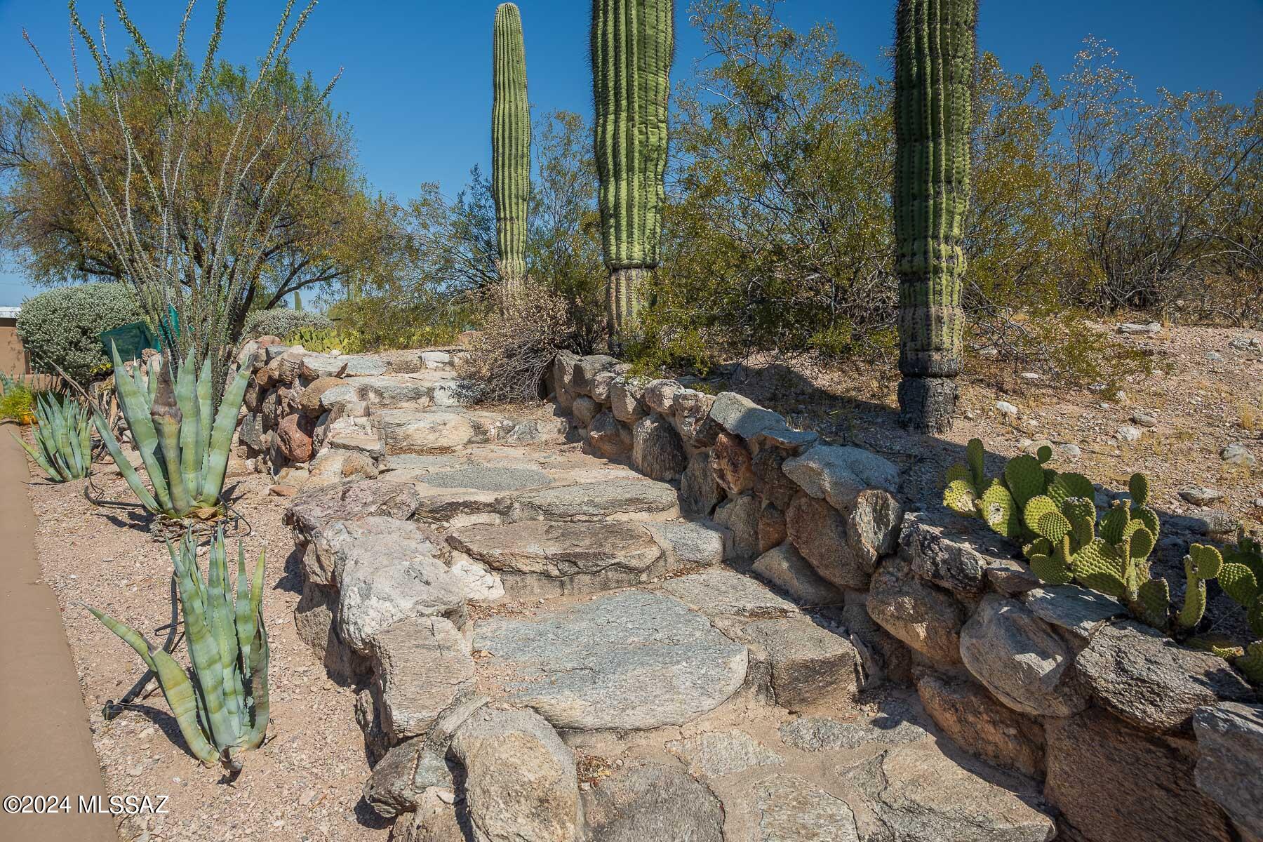 Catalina Foothills Estates NO. 2 - Land