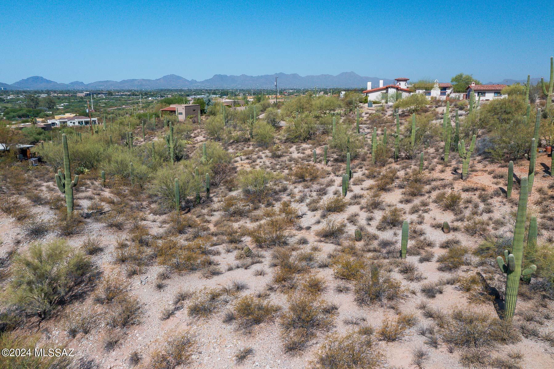 Catalina Foothills Estates NO. 2 - Land