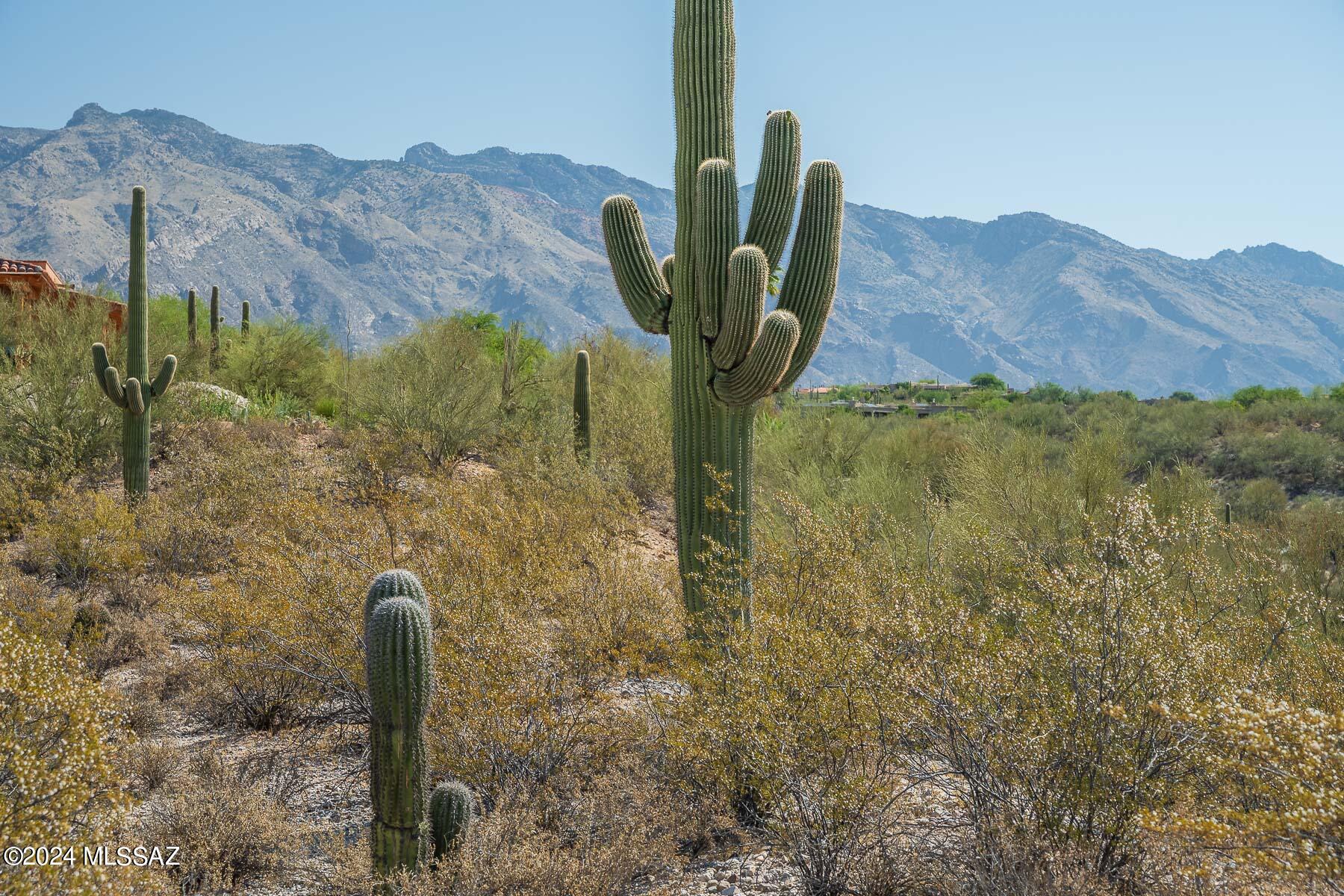 Catalina Foothills Estates NO. 2 - Land