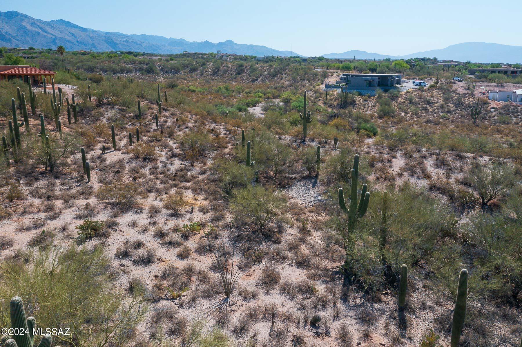 Catalina Foothills Estates NO. 2 - Land