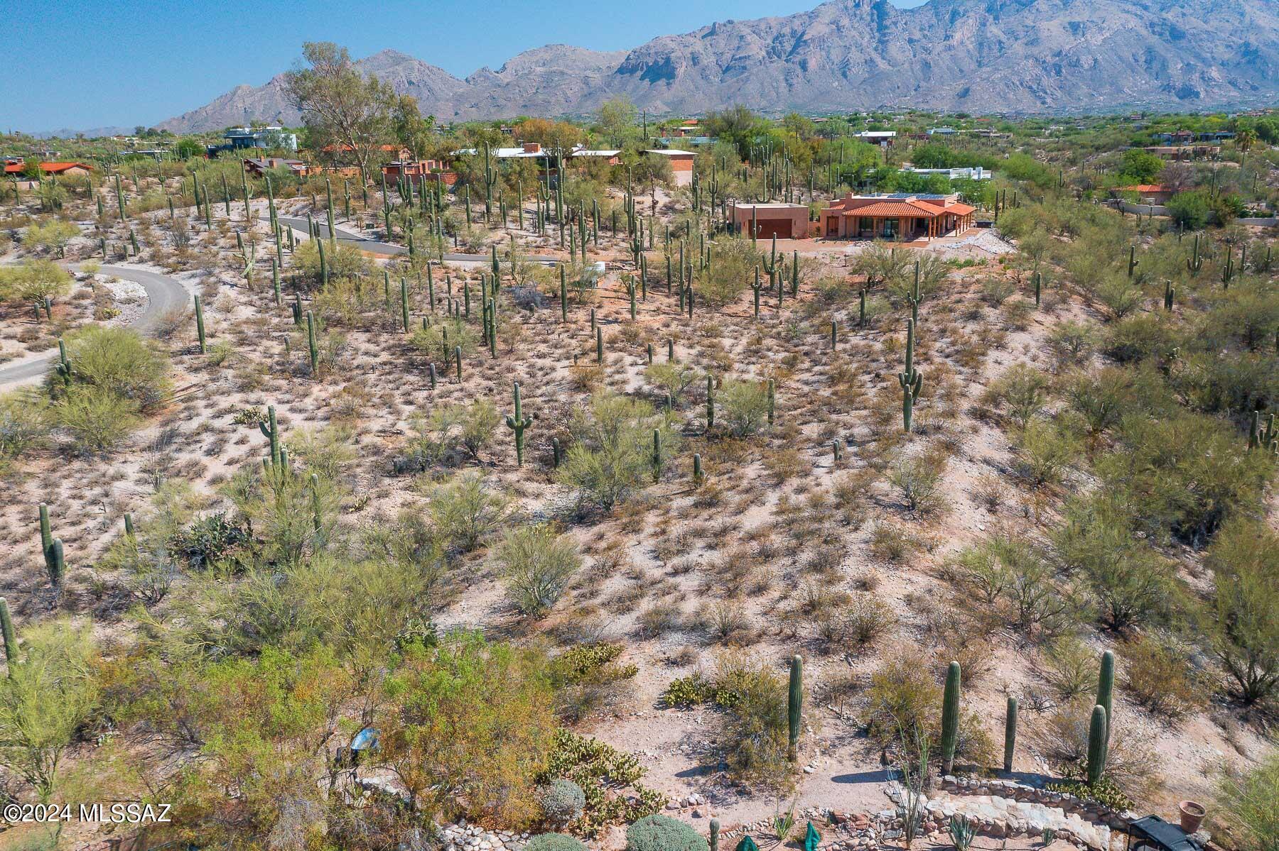Catalina Foothills Estates NO. 2 - Land