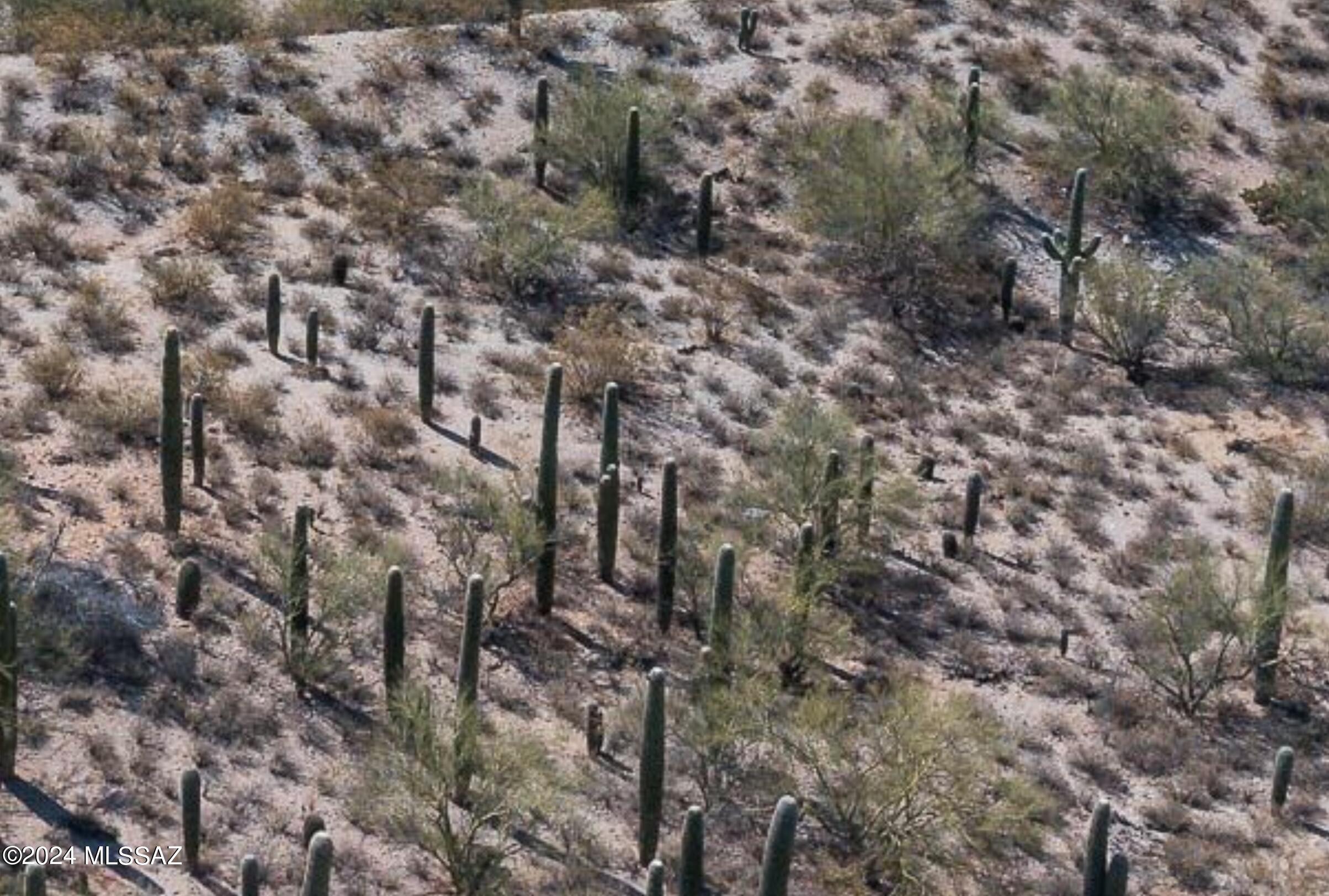 Catalina Foothills Estates NO. 2 - Land