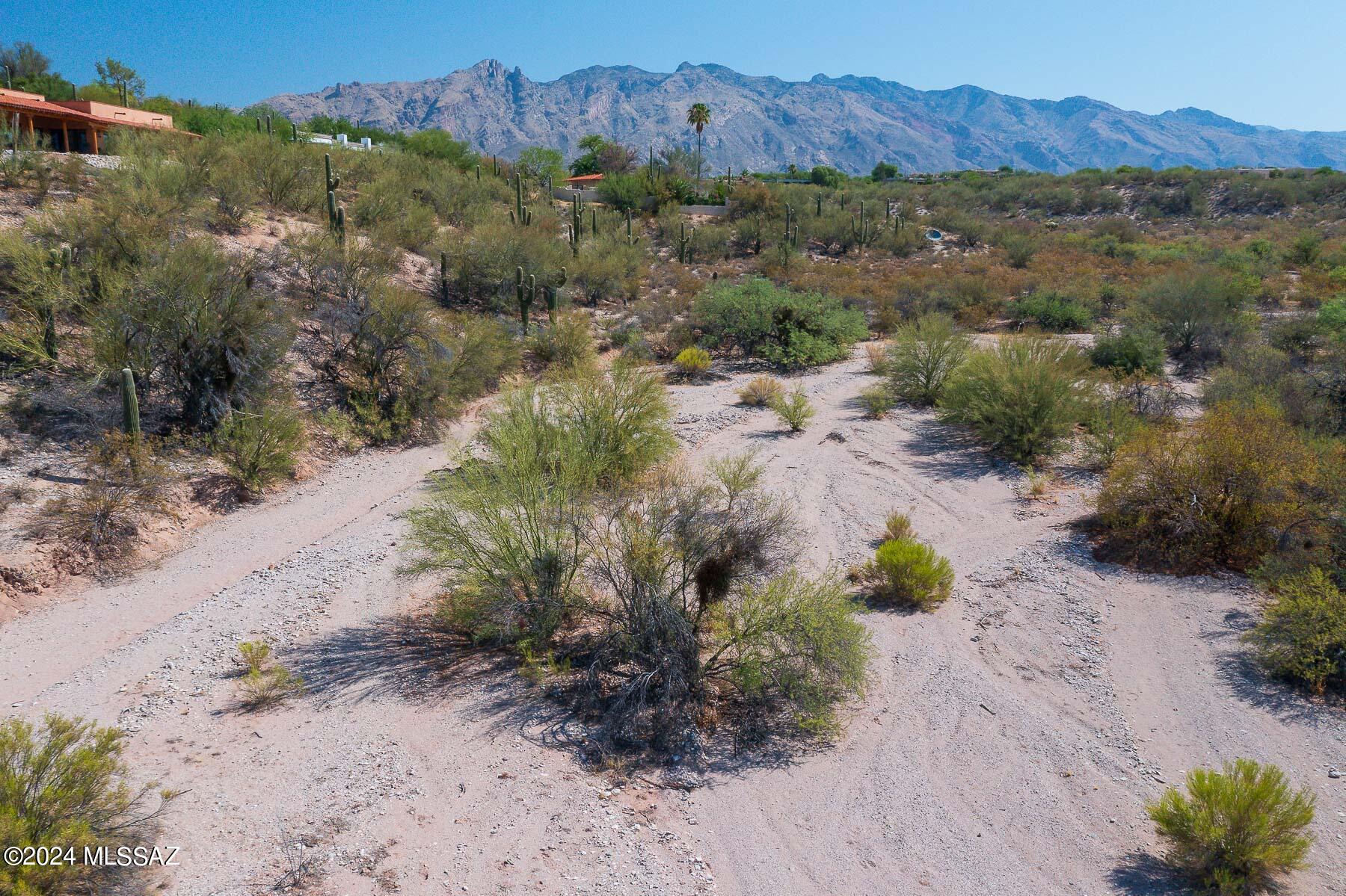 Catalina Foothills Estates NO. 2 - Land