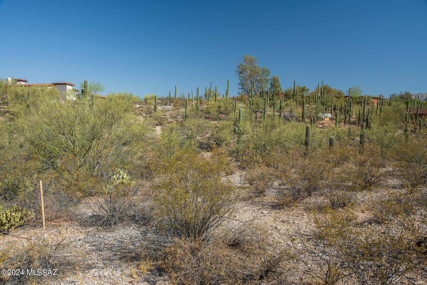 Catalina Foothills Estates NO. 2 - Land