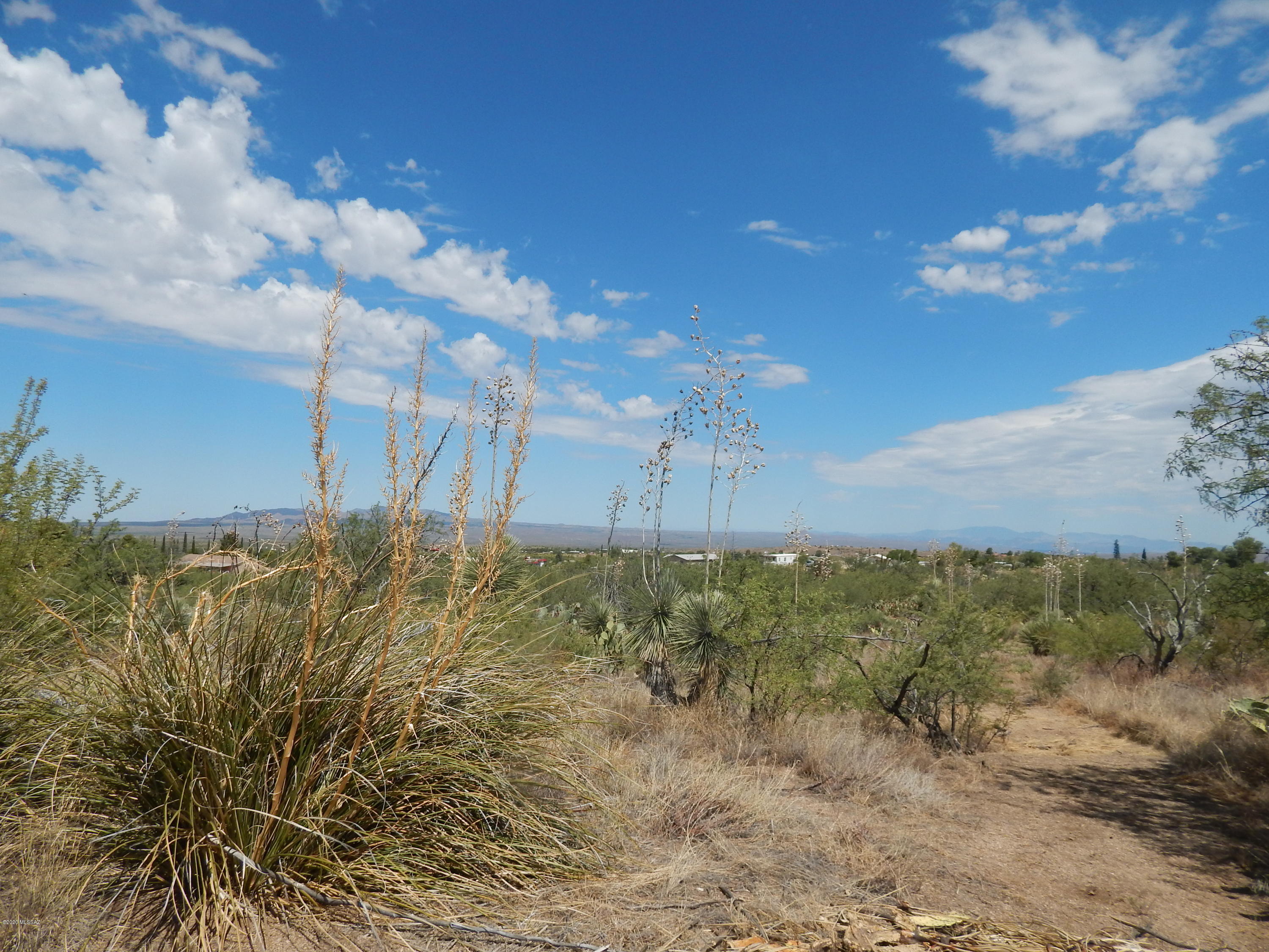 Out Of Pima County - Land