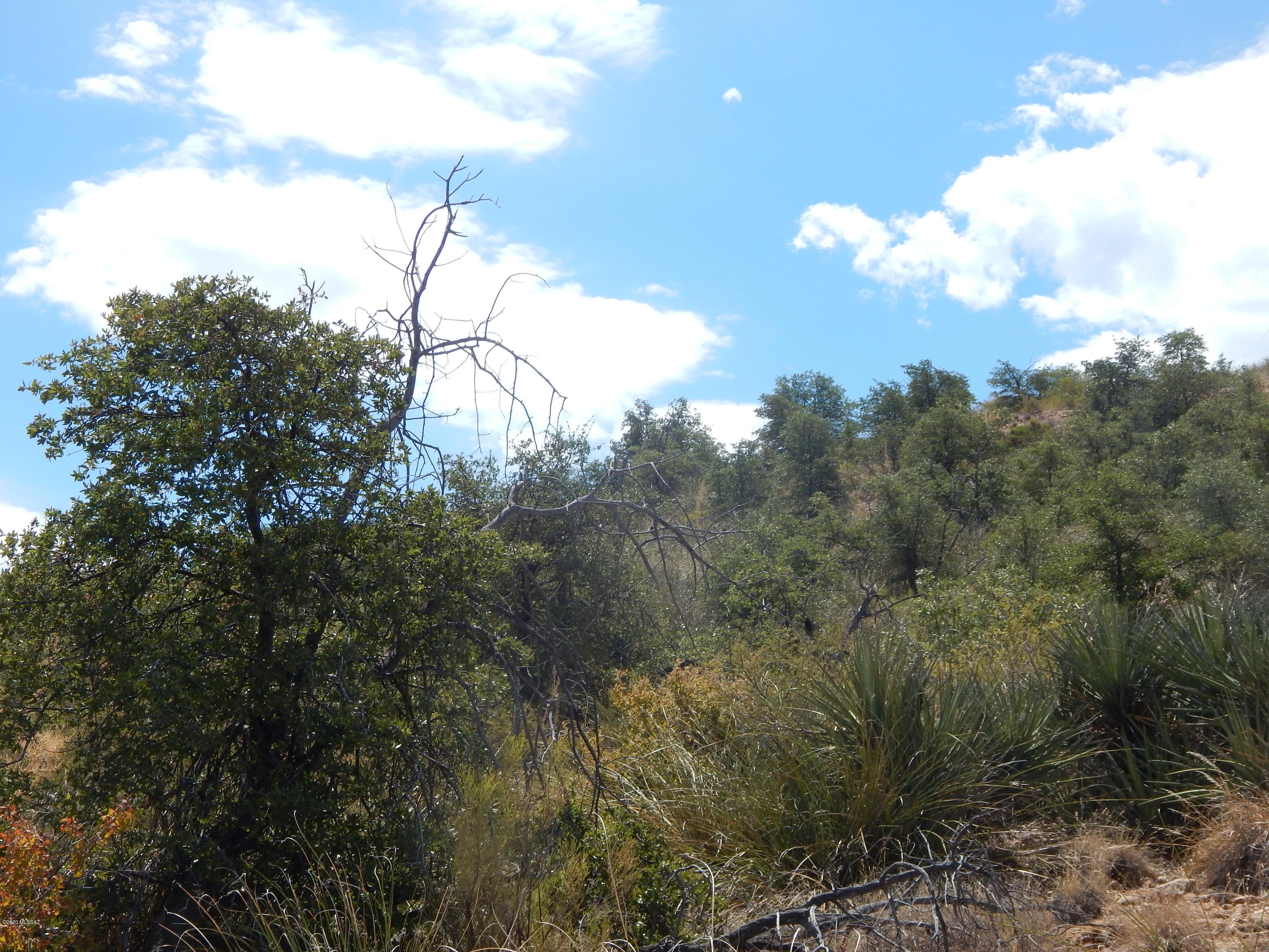 Out Of Pima County - Land
