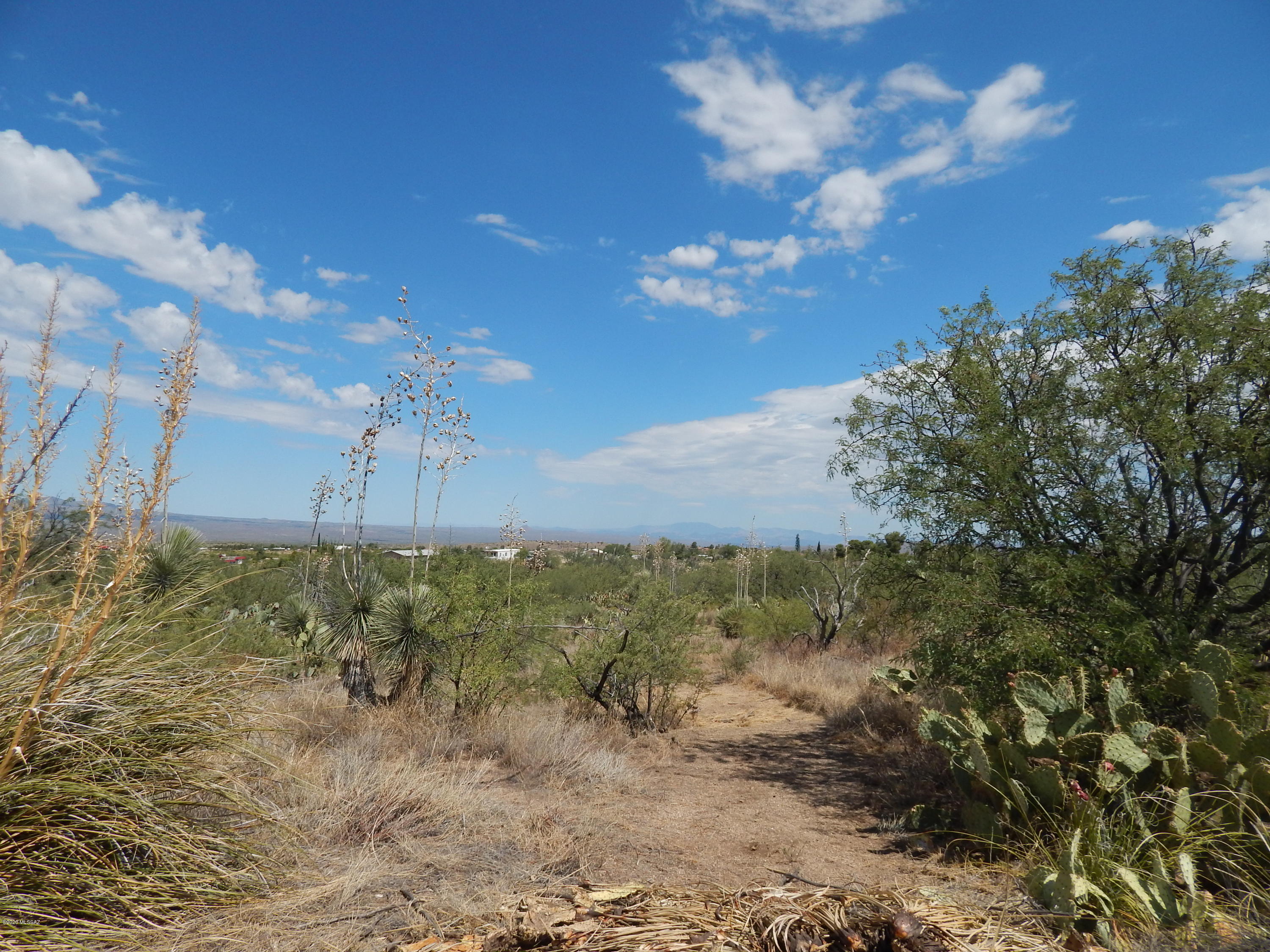 Out Of Pima County - Land