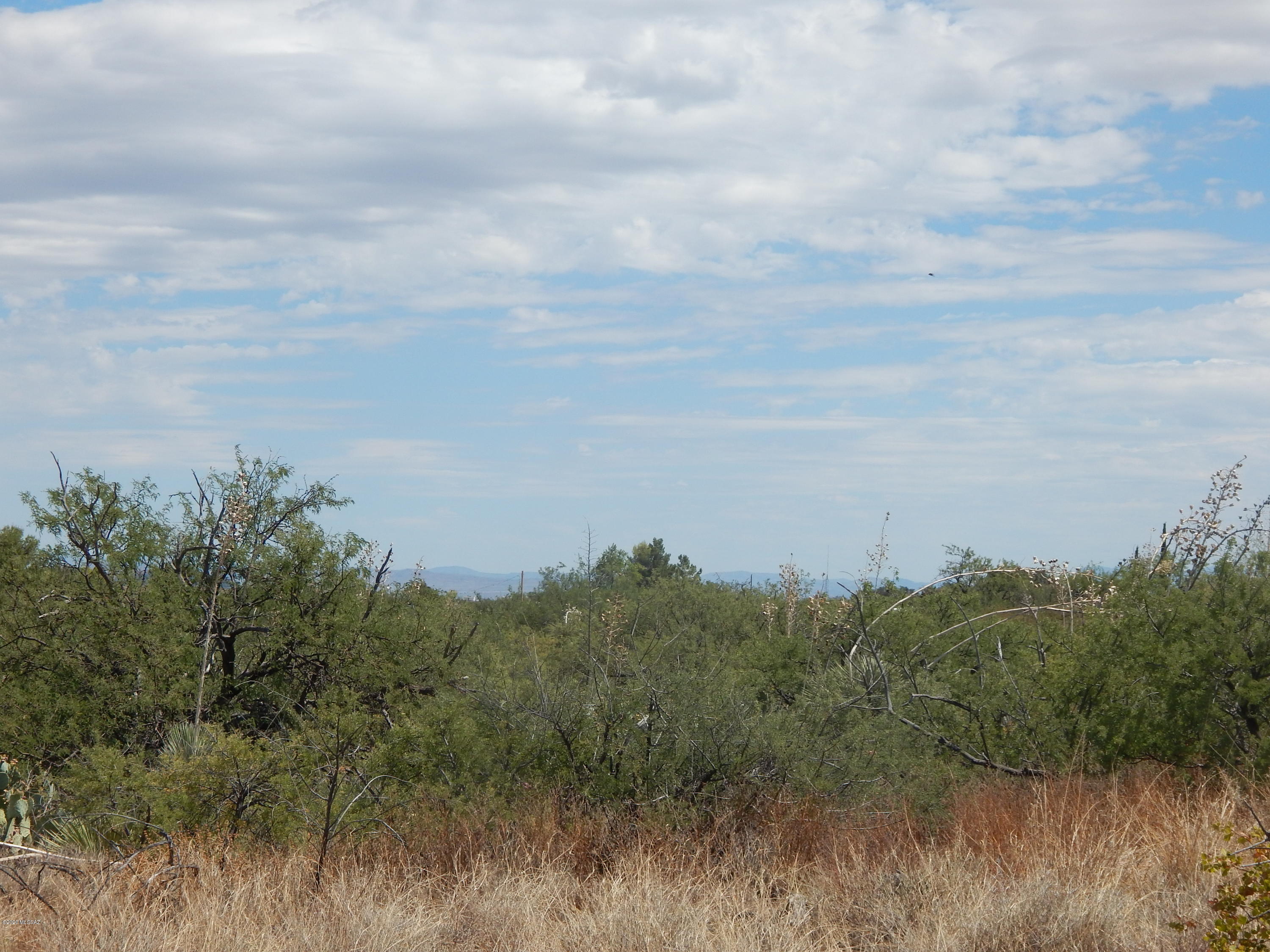 Out Of Pima County - Land