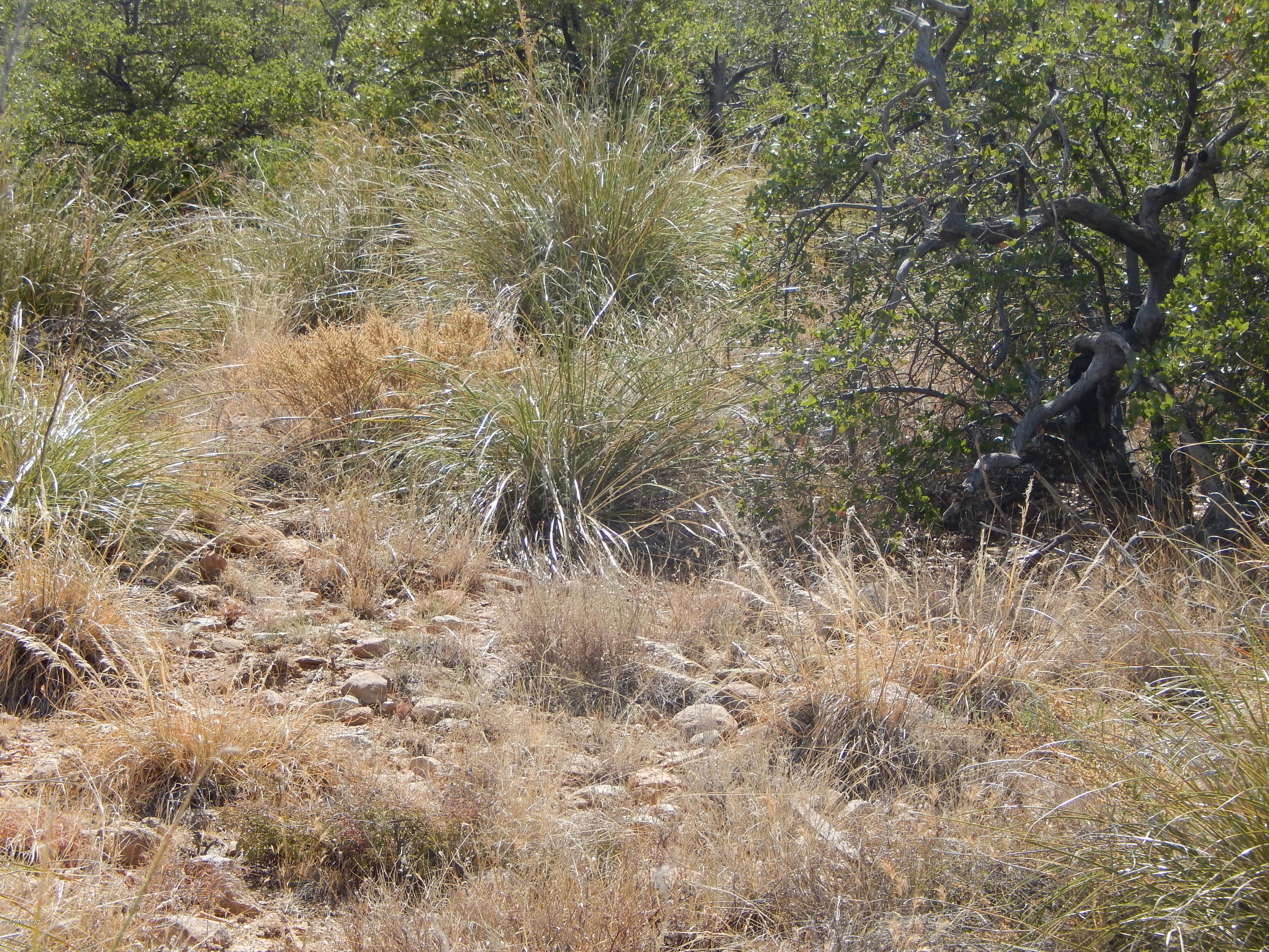 Out Of Pima County - Land