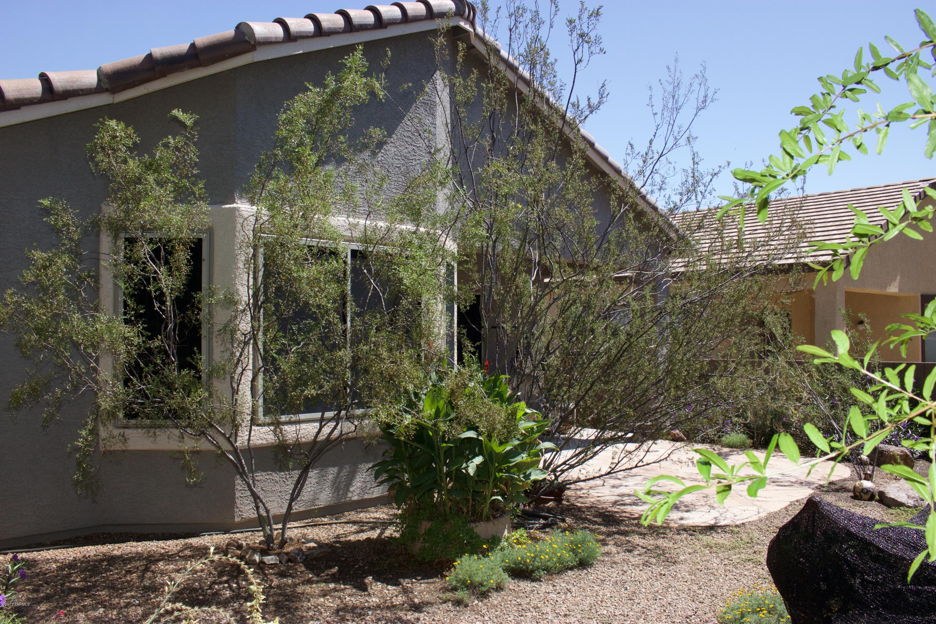 Sonora At Rancho Sahuarita (1-243) - Residential