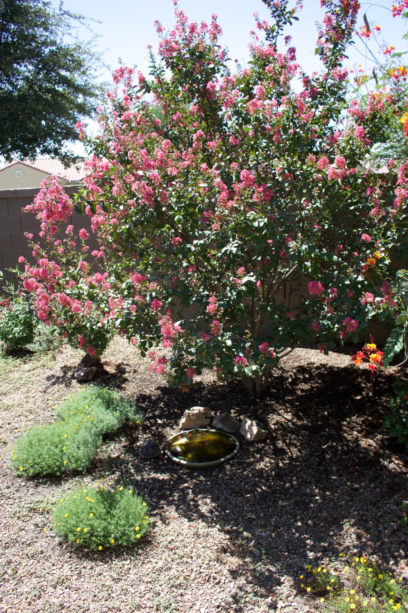 Sonora At Rancho Sahuarita (1-243) - Residential