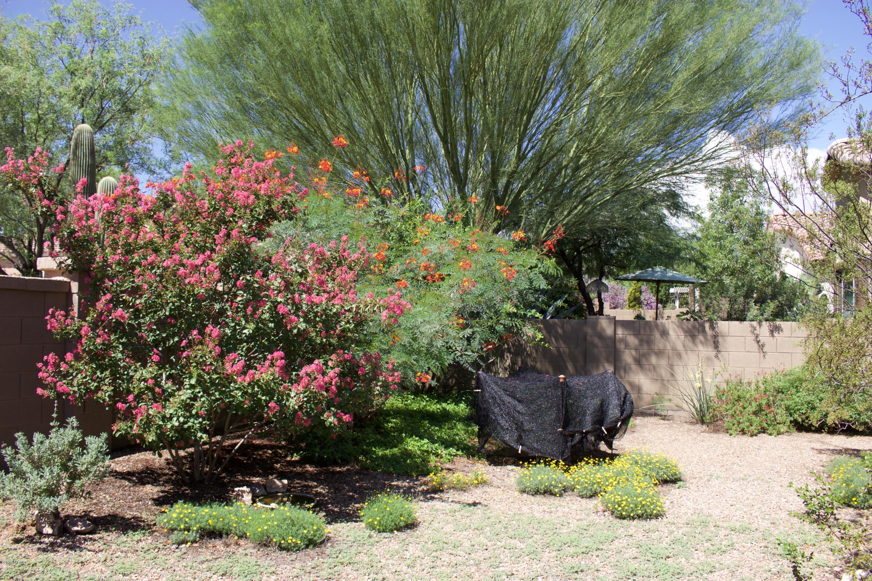 Sonora At Rancho Sahuarita (1-243) - Residential