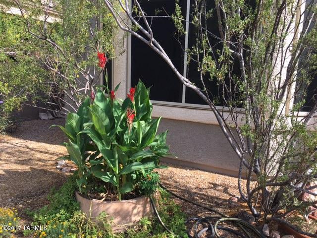 Sonora At Rancho Sahuarita (1-243) - Residential