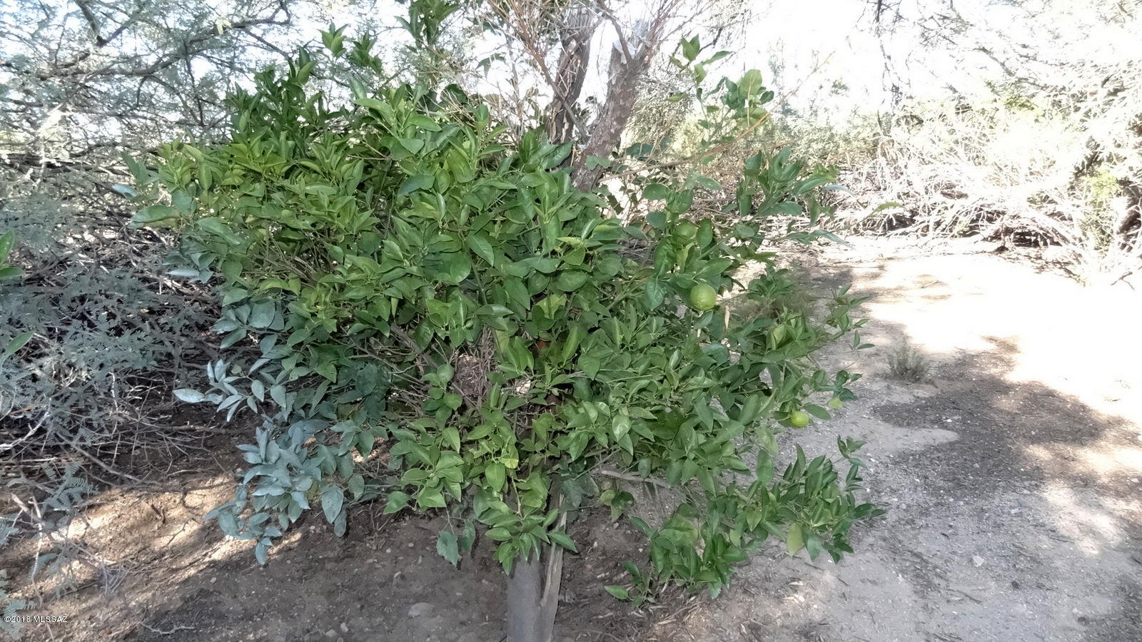 Valle Verde Del Norte (1-100) - Residential