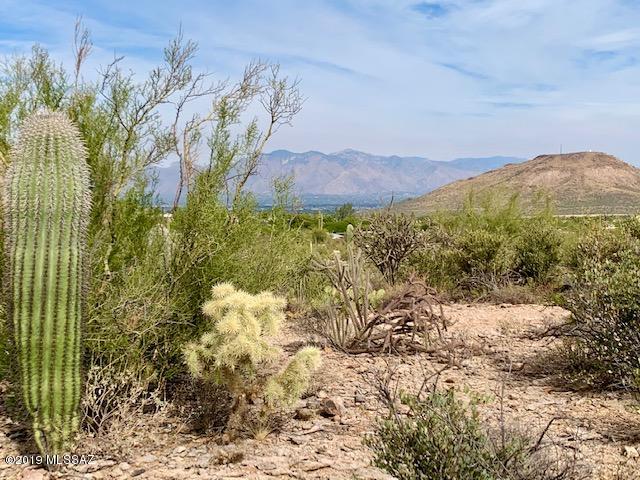 Wildcat Pass (1-61) - Land