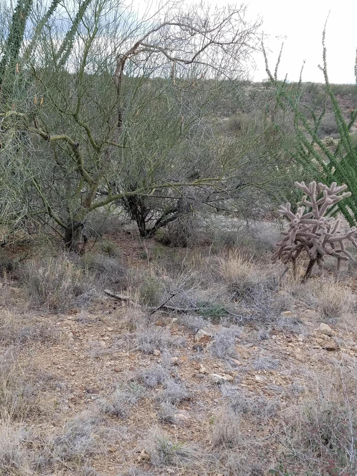 New Tucson Unit NO. 6 (1-75) - Land