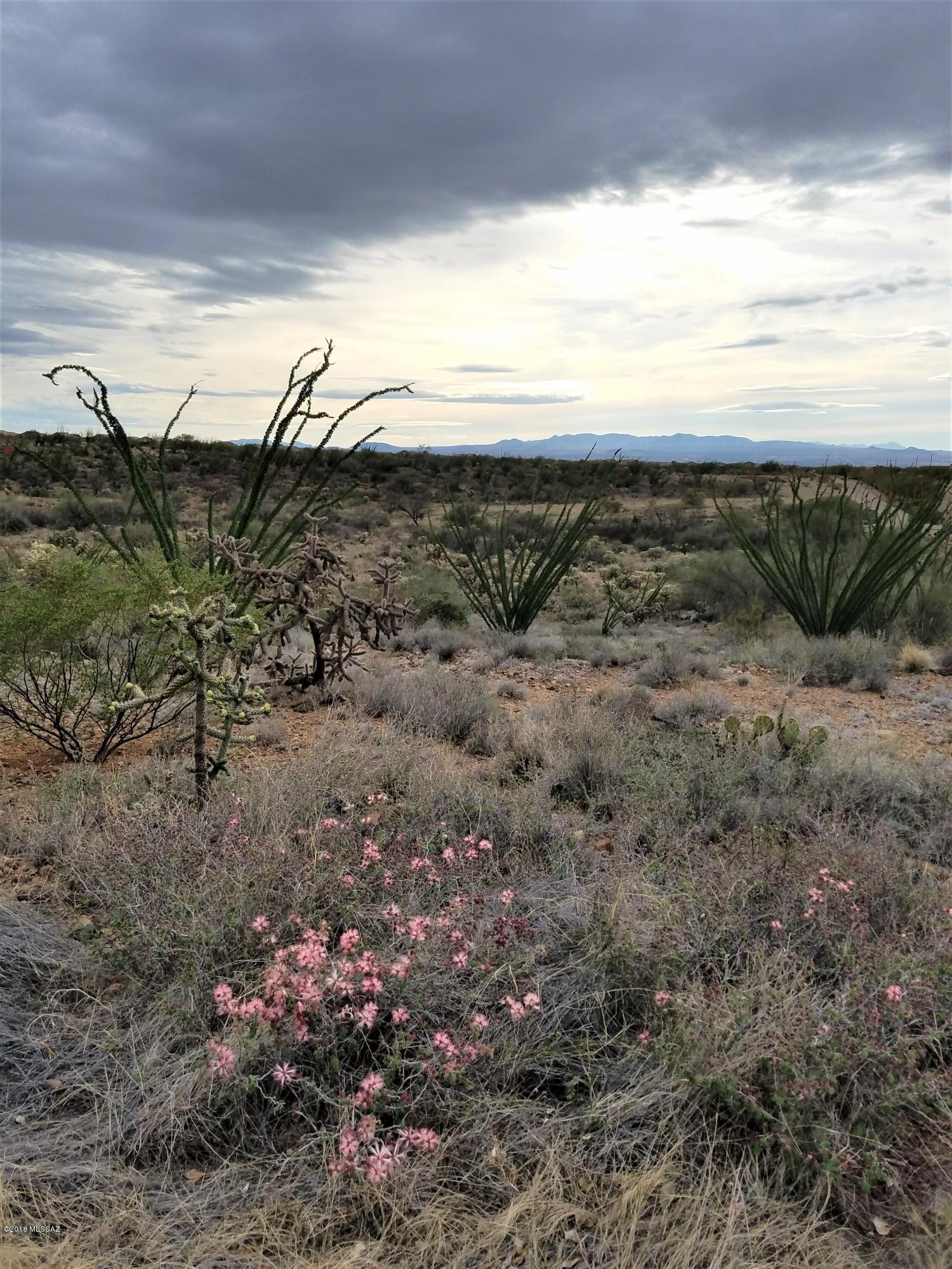 New Tucson Unit NO. 6 (1-75) - Land