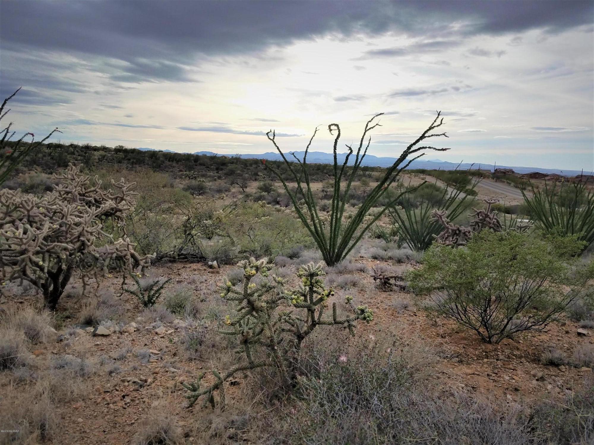 New Tucson Unit NO. 6 (1-75) - Land