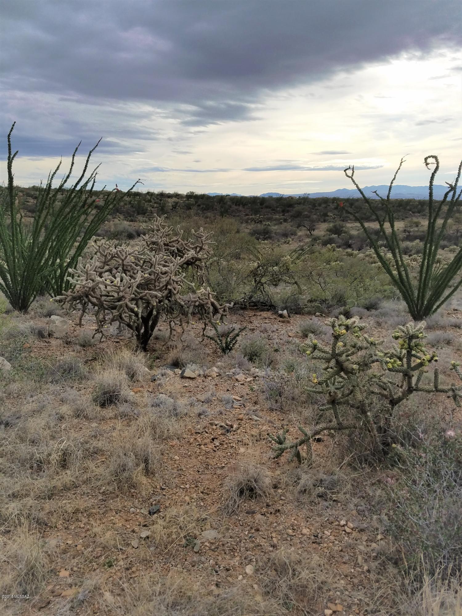 New Tucson Unit NO. 6 (1-75) - Land