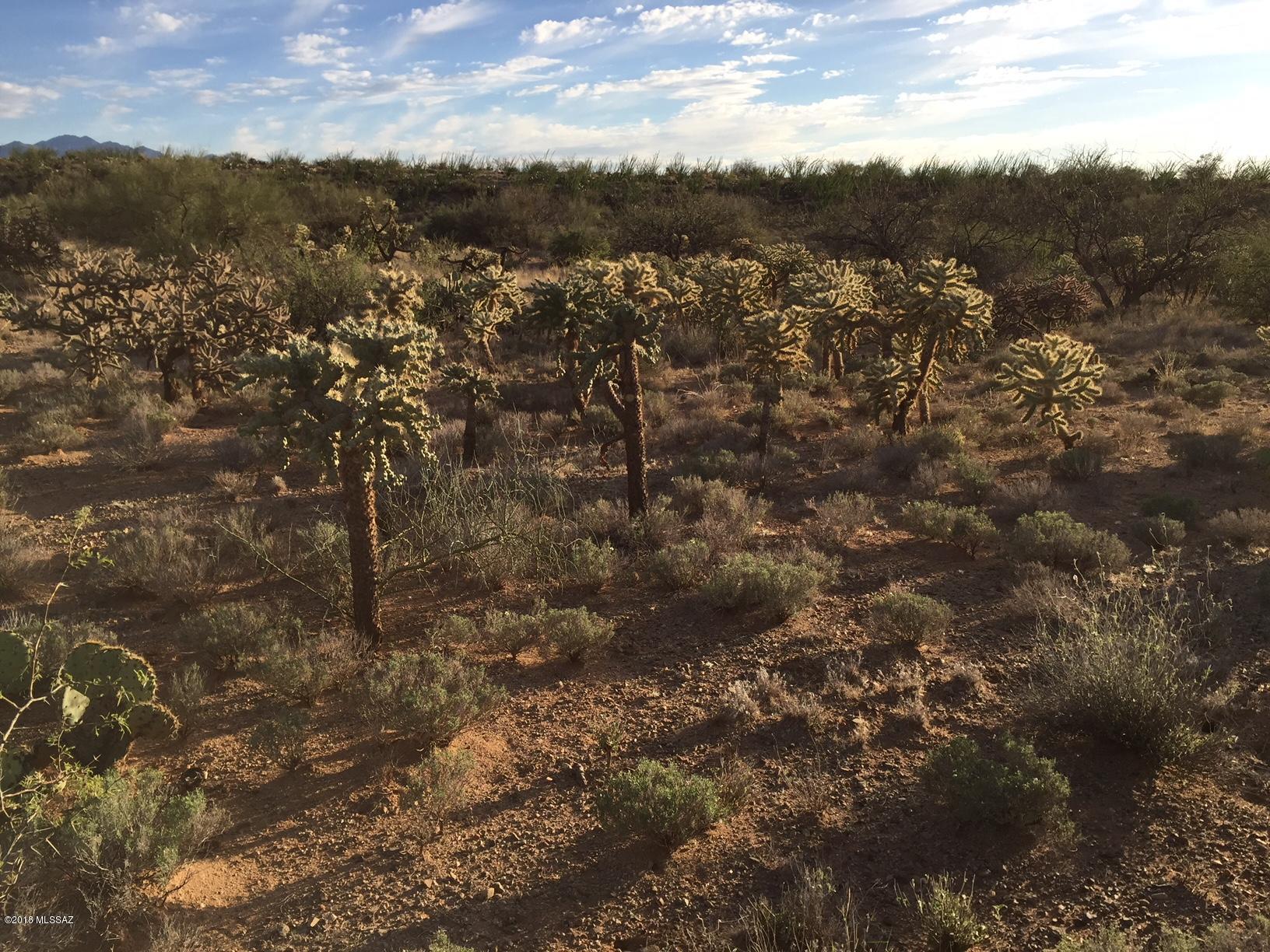 New Tucson Unit NO. 6 (1-75) - Land