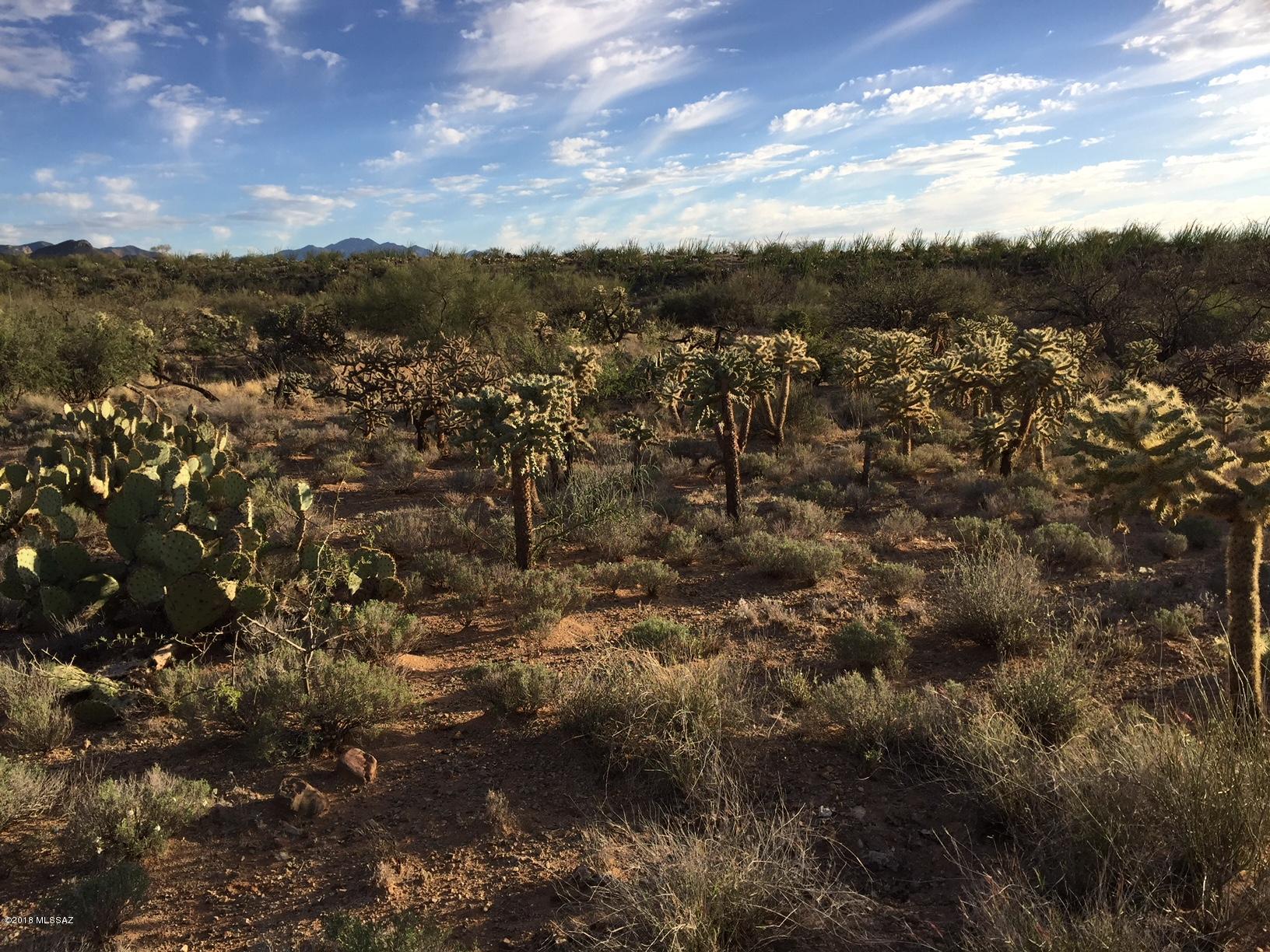 New Tucson Unit NO. 6 (1-75) - Land