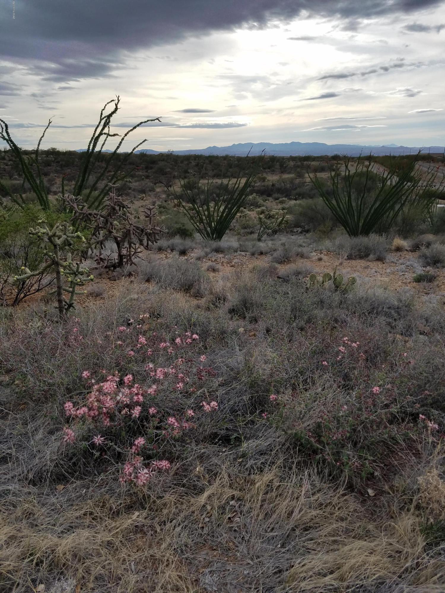 New Tucson Unit NO. 6 (1-75) - Land