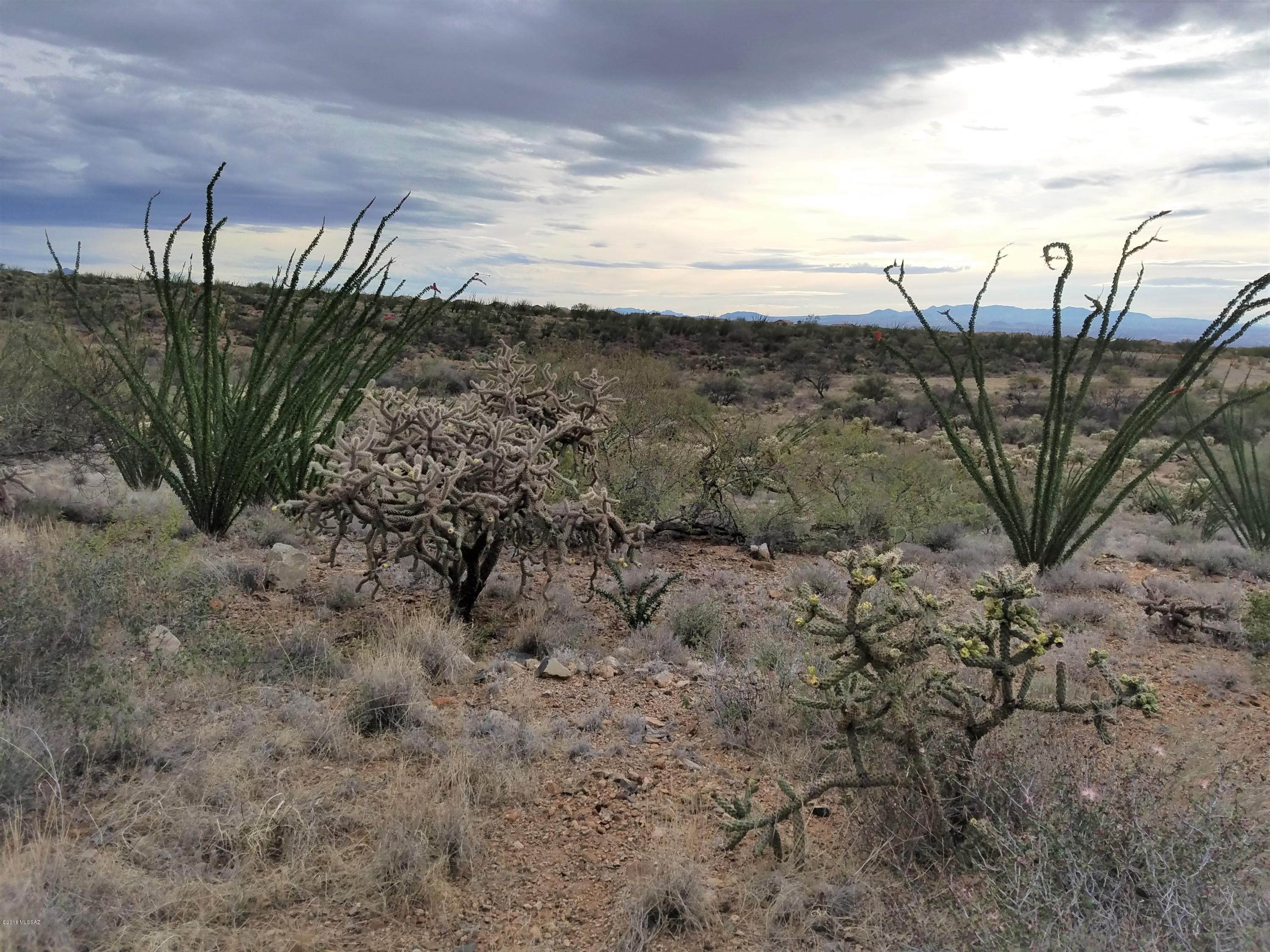 New Tucson Unit NO. 6 (1-75) - Land