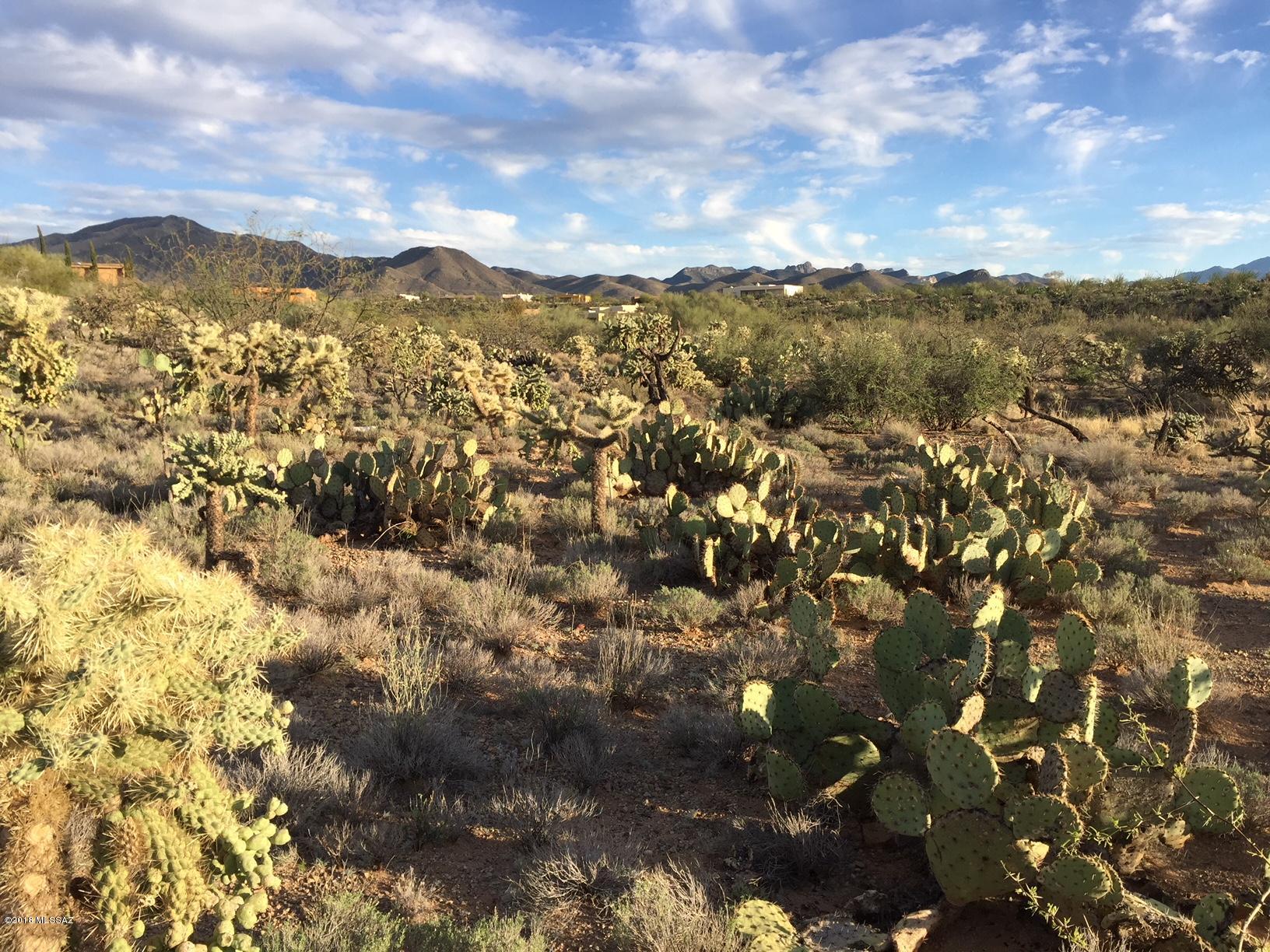 Beautiful corner lot to build your dream. Gently sloping land with a lot of cacti. Custom homes right across the street. Utilities at the lot line.