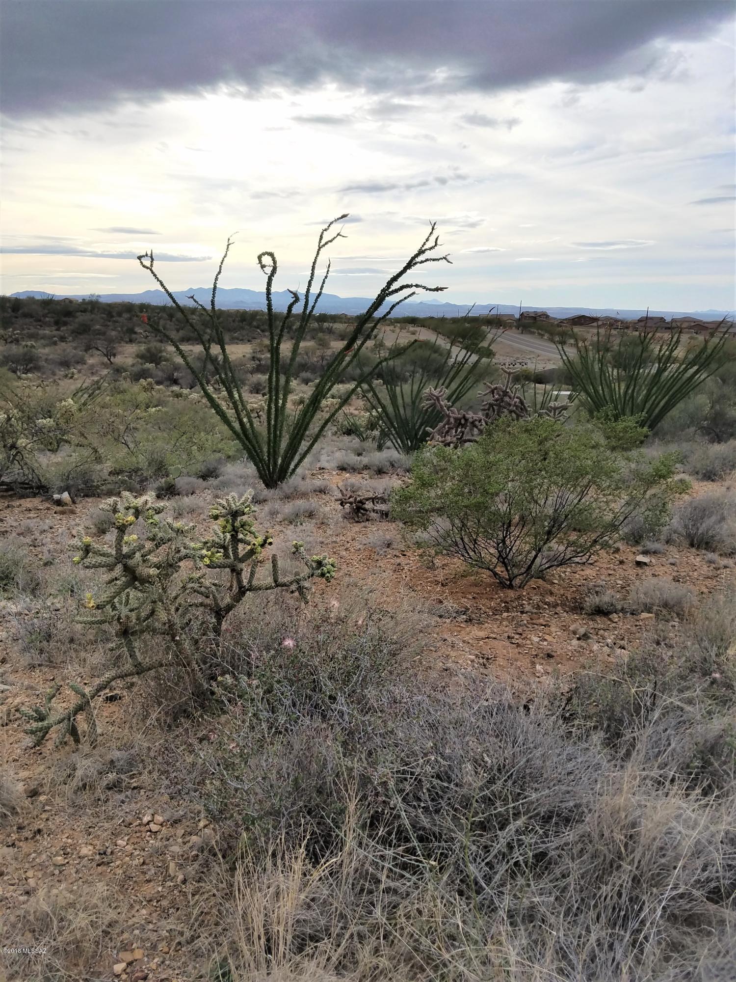 New Tucson Unit NO. 6 (1-75) - Land