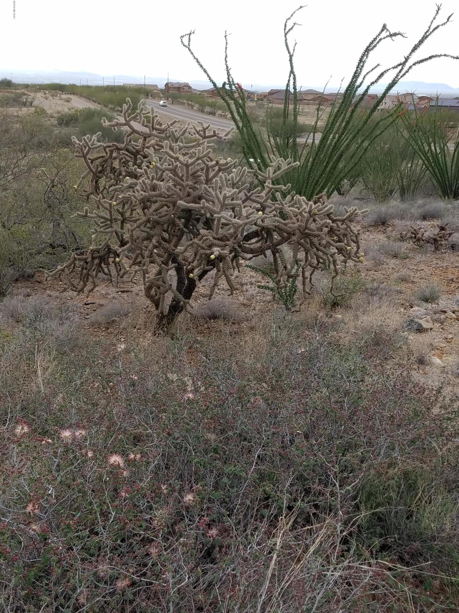 New Tucson Unit NO. 6 (1-75) - Land