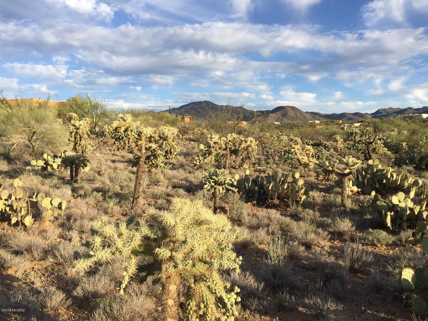 New Tucson Unit NO. 6 (1-75) - Land