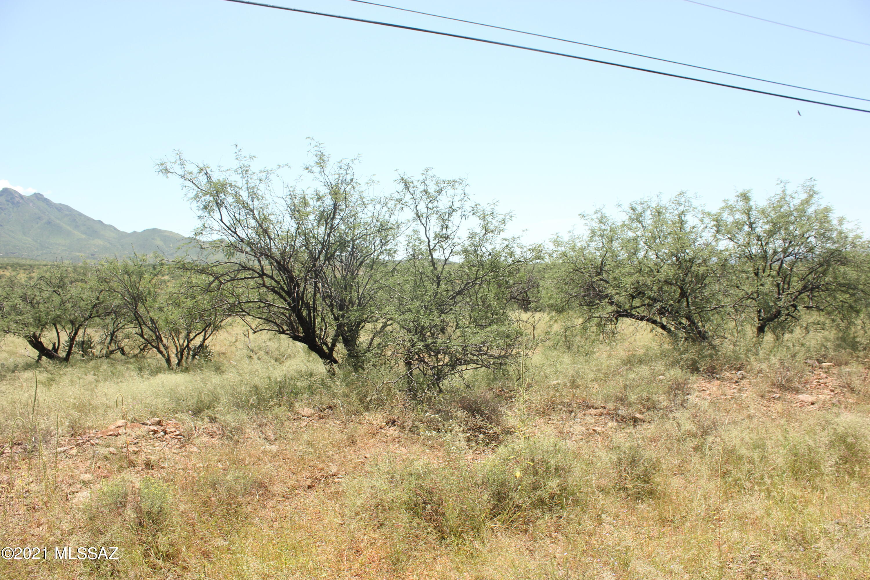 Rio Rico Villas 11 - Land
