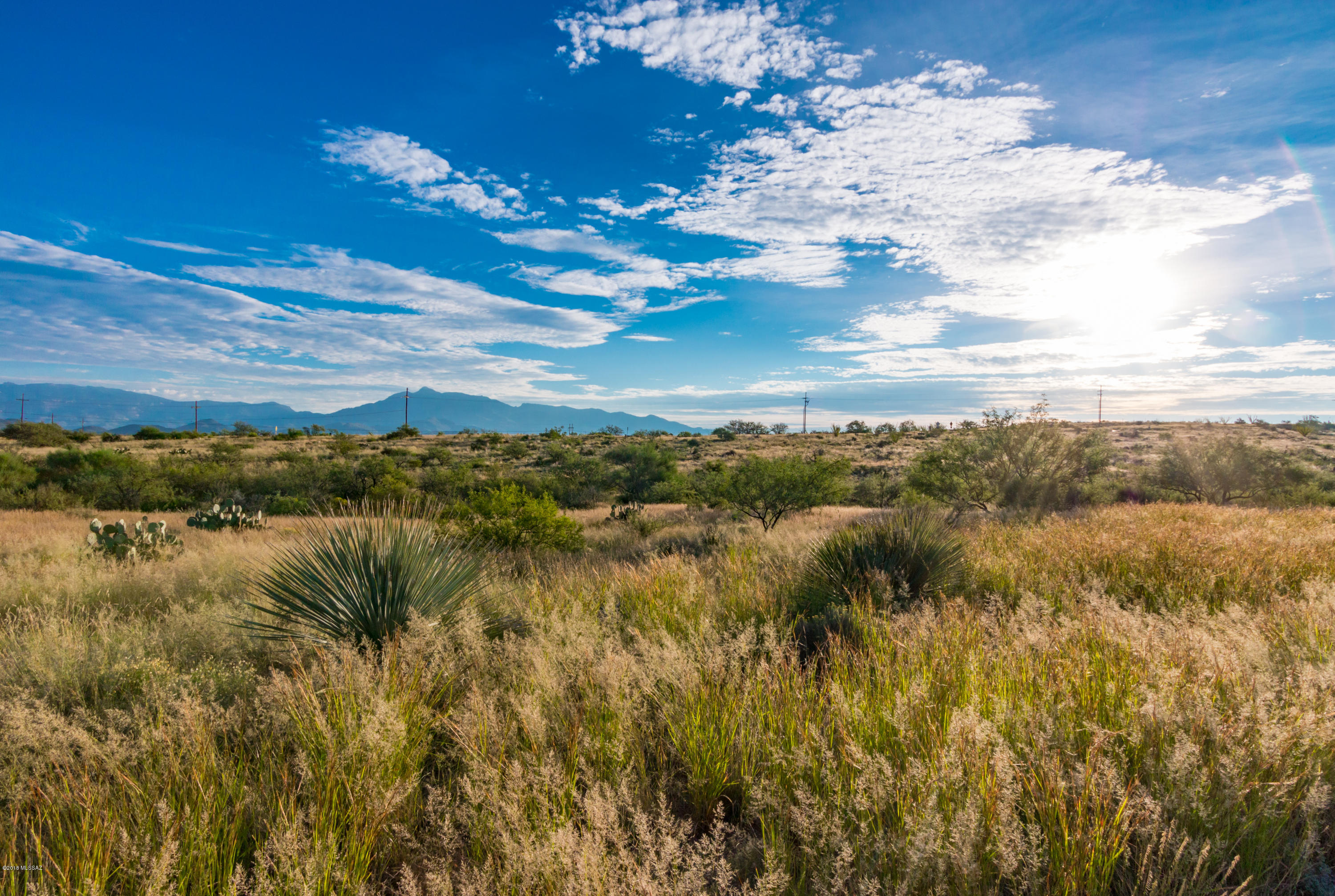 Mountain View Ranch (1-362) - Land