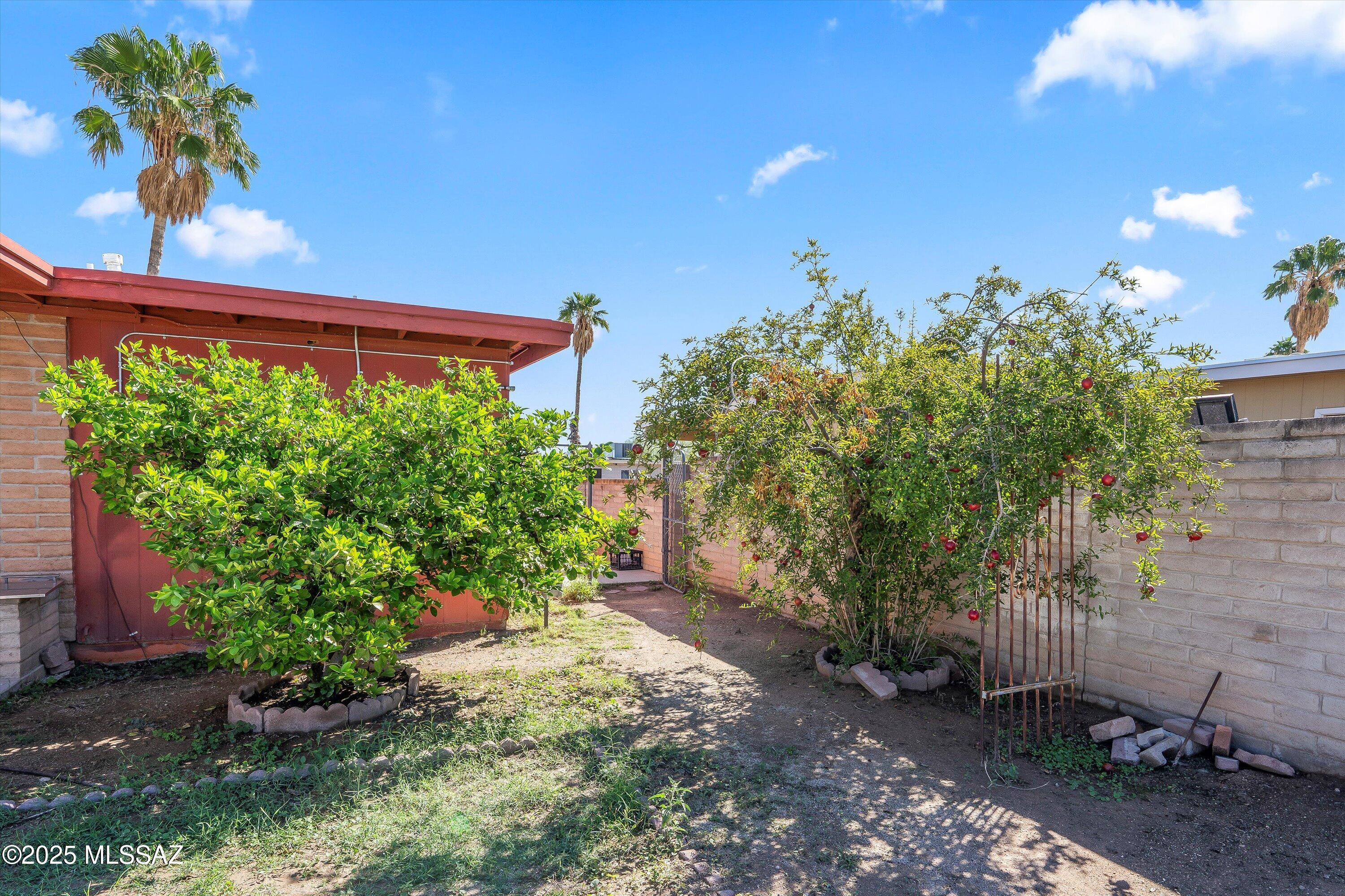 Desert Shadows (312-511) - Residential