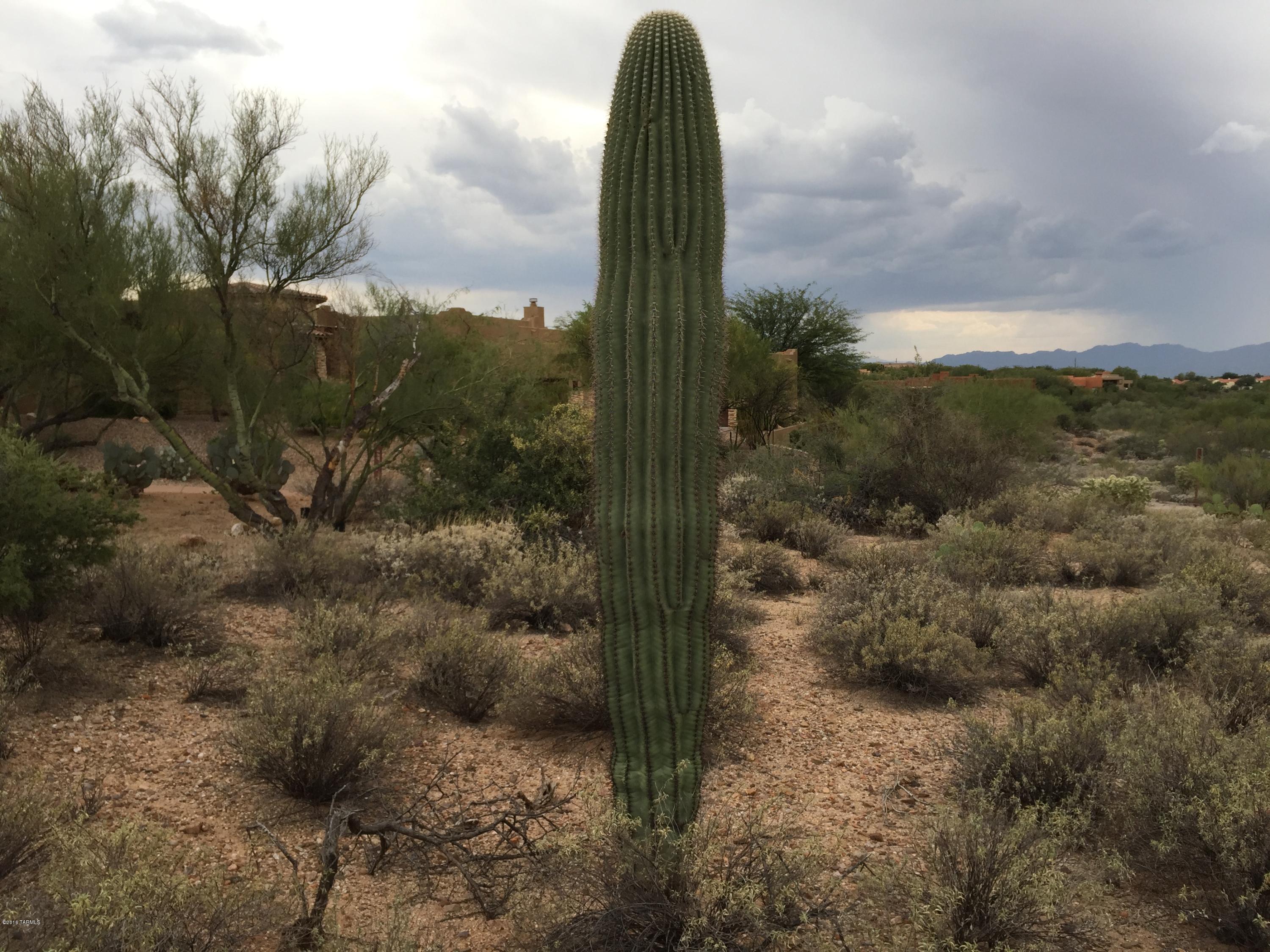 Coyote Ridge (1-109) - Land