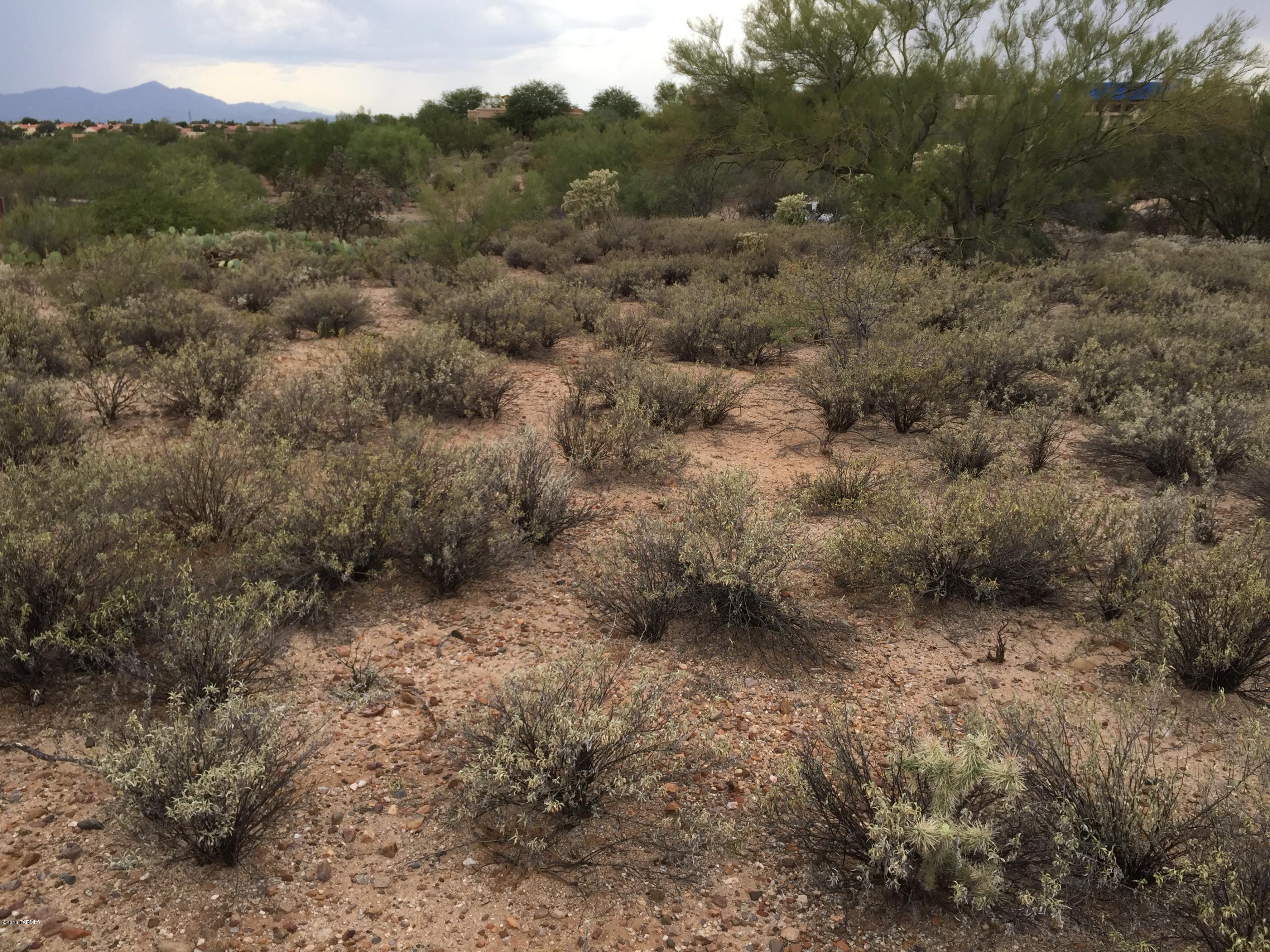 Coyote Ridge (1-109) - Land