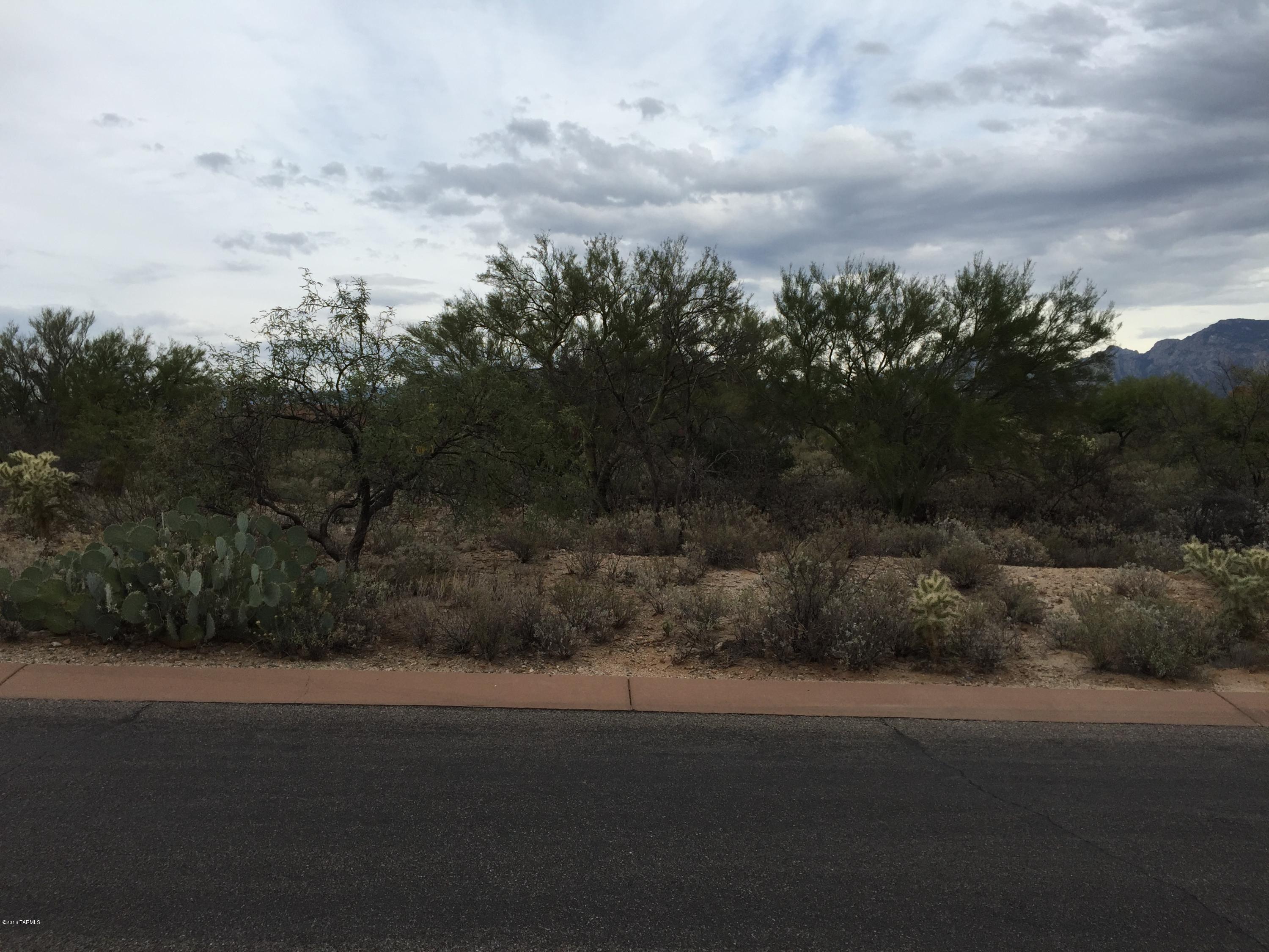 Beautiful lot, commpletely usable, magnificent mountain views.  Not many lots left in Coyote Ridge and especially not many lots as beautiful as this one.  Hurry, it won't last long!